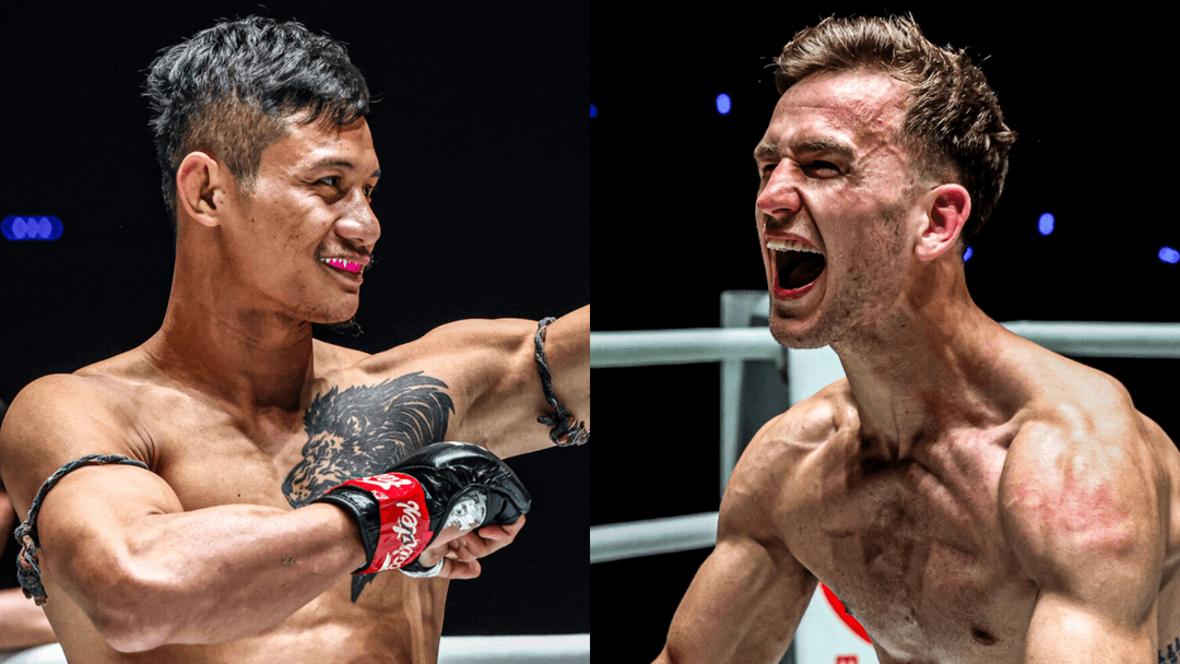 سوابلاك وإرفاين في نزال ناري ضمن عرض ONE Fight Night 45