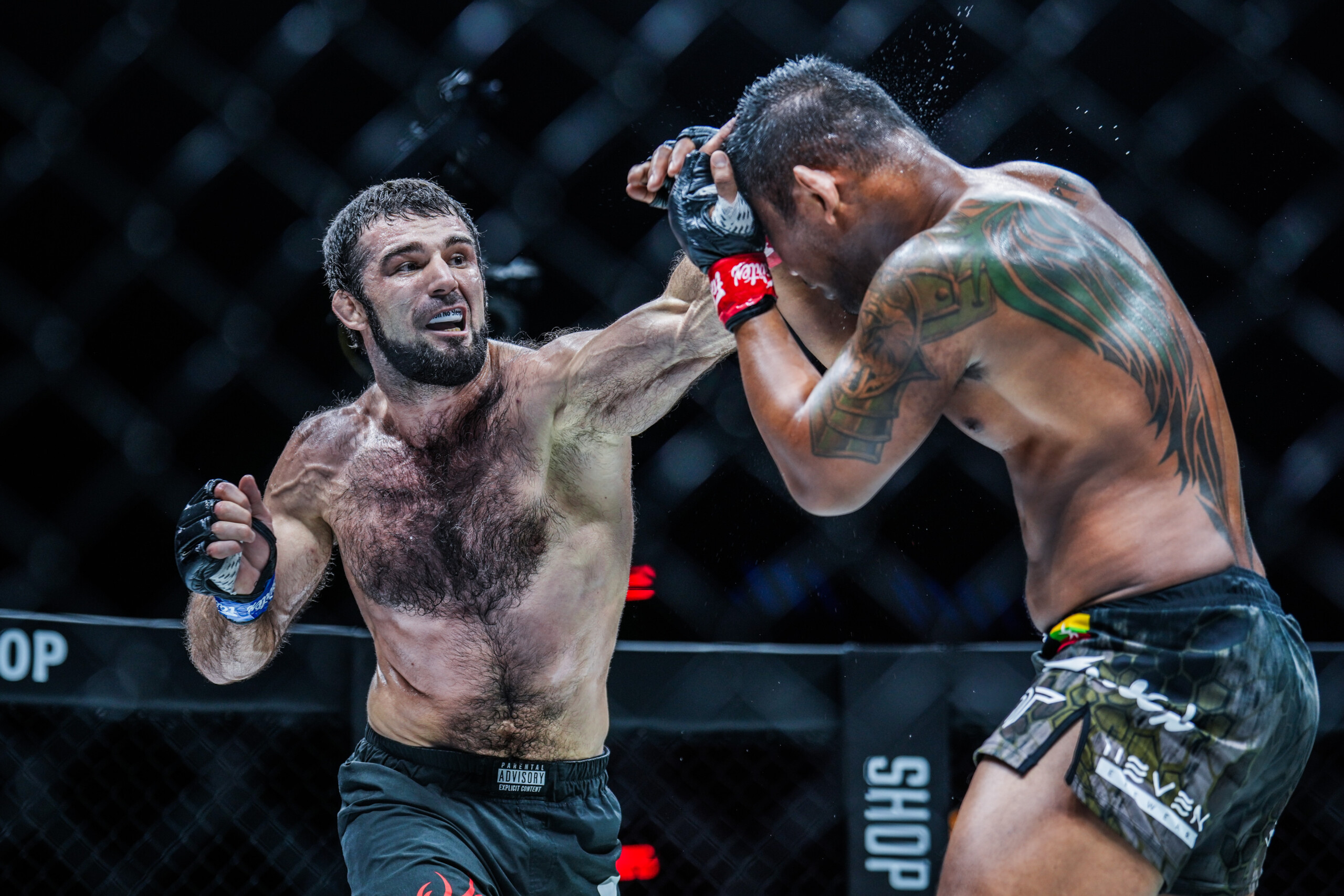 شامل إردوغان