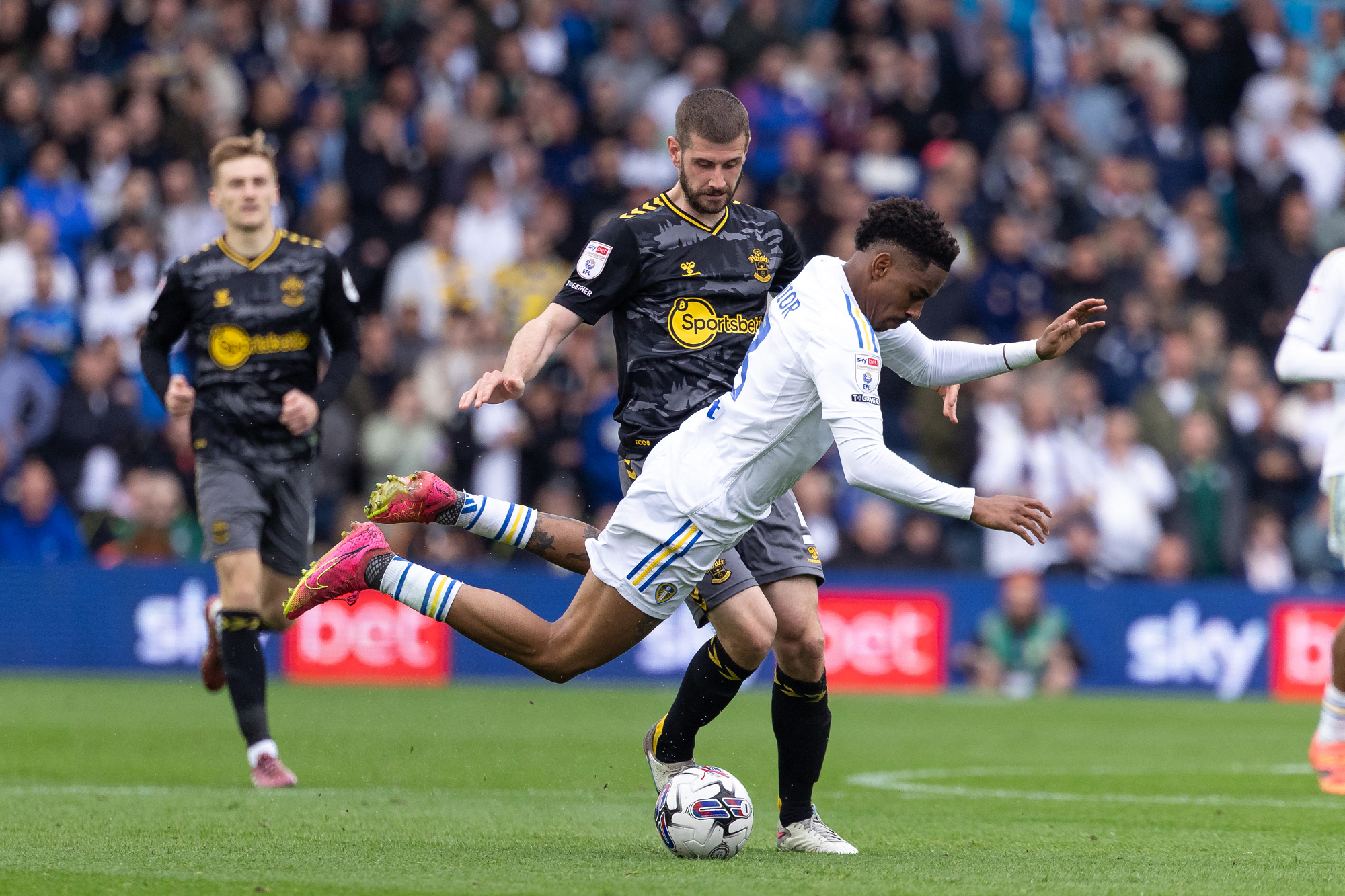 ليدز يواجه ساوثهامبتون لتحديد آخر الصاعدين