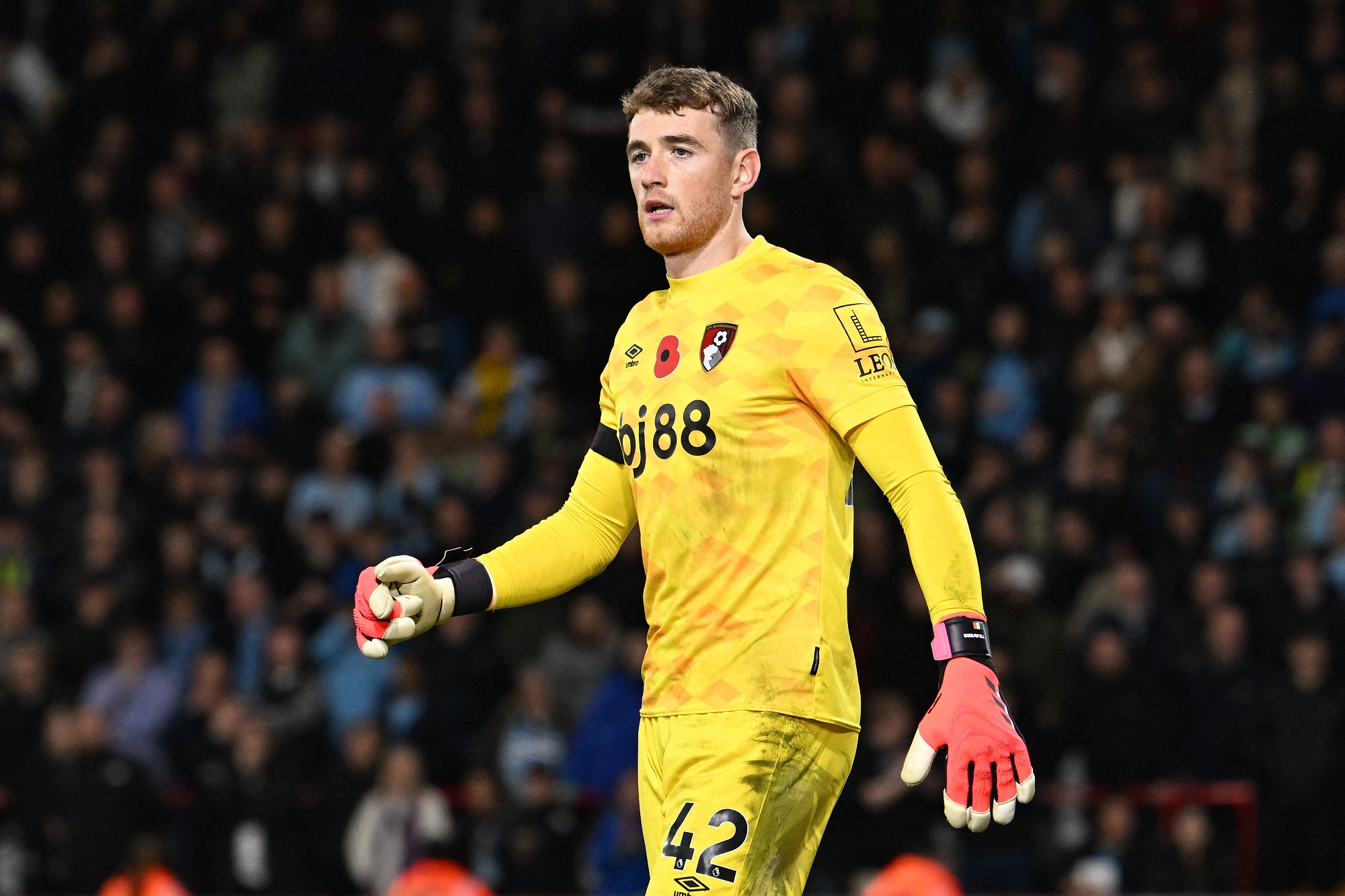 مارك ترافرز