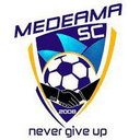 team logo
