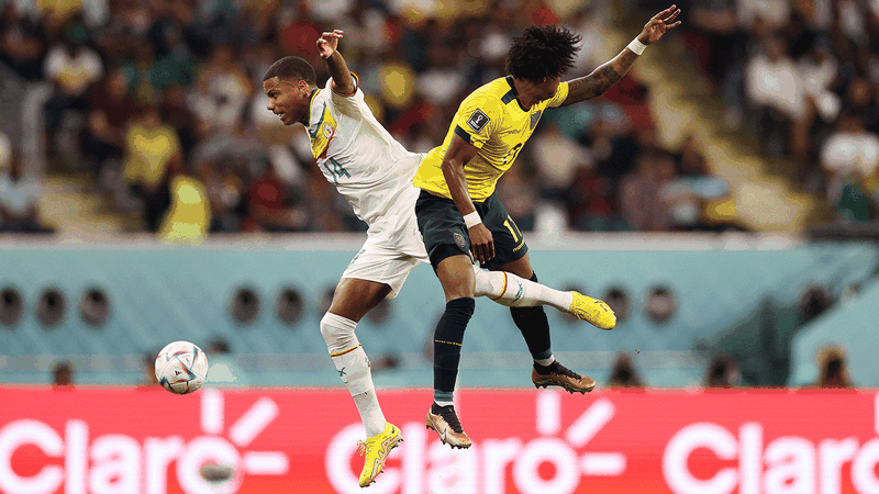 World Cup: Ecuador v Senegal LIVE NOW