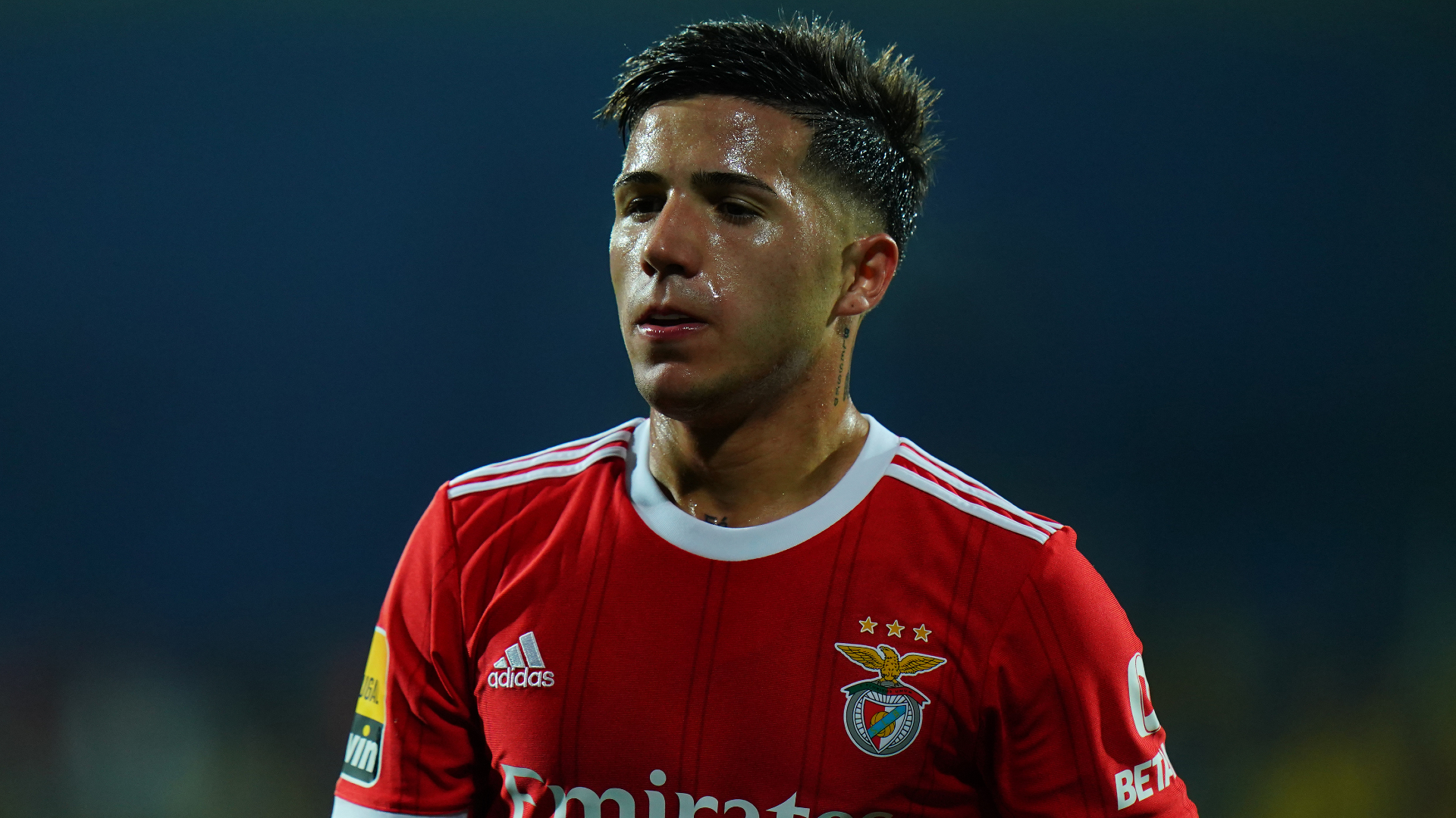 Schmidt expects Chelsea target Fernandez to stay at Benfica