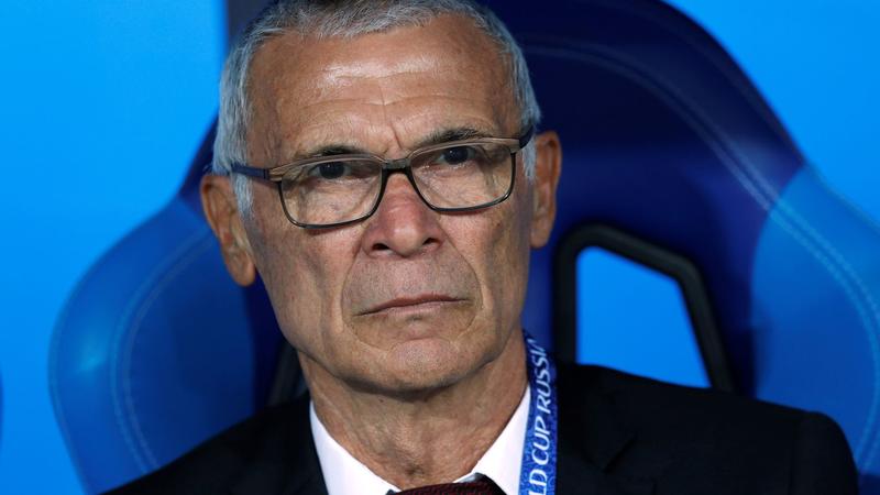 Cuper takes over as Syria coach