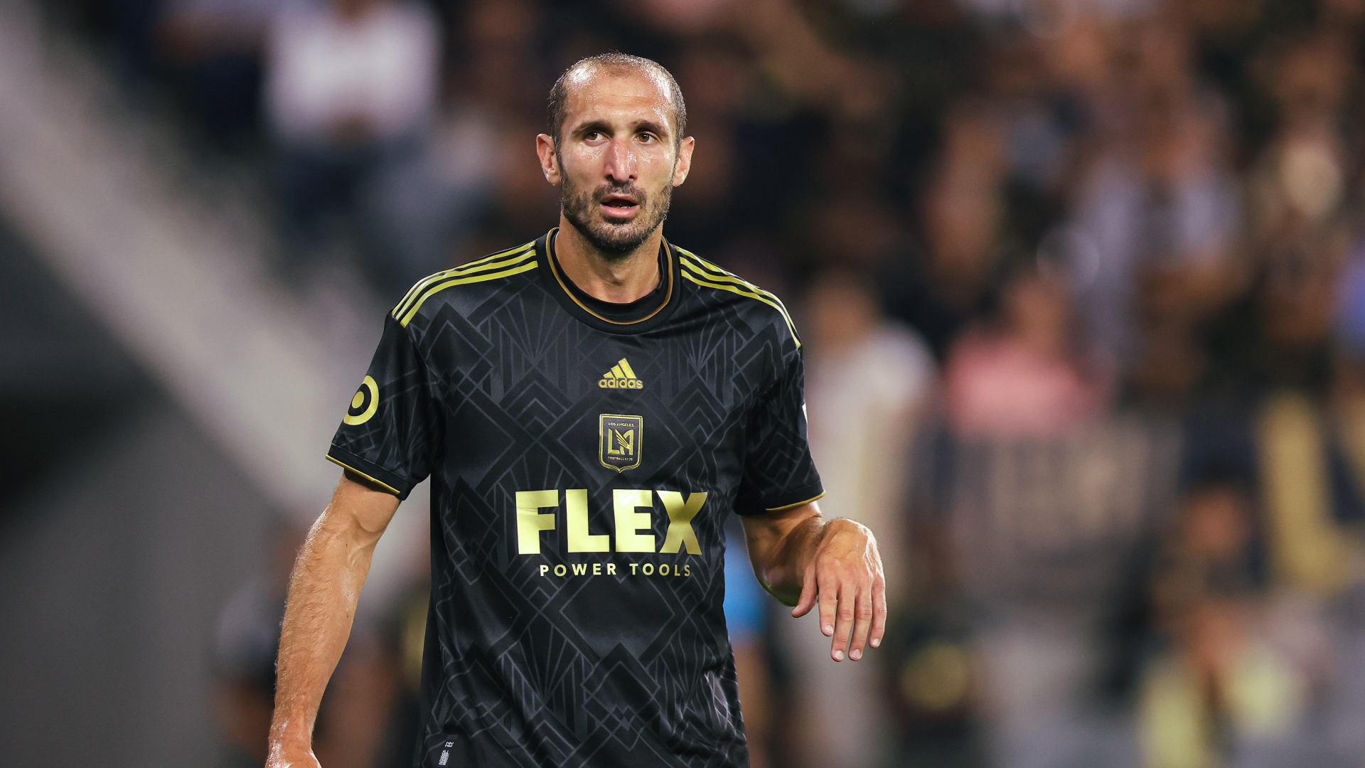 Download Giorgio Chiellini Juventus FC Ready Football Match Wallpaper