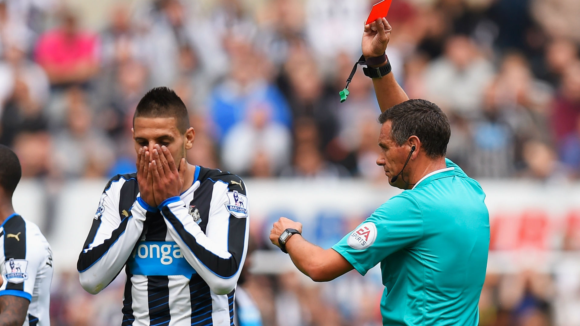 Video - Newcastle United 0 Arsenal 1: Mitrovic off as Coloccini own goal  settles it | beIN SPORTS