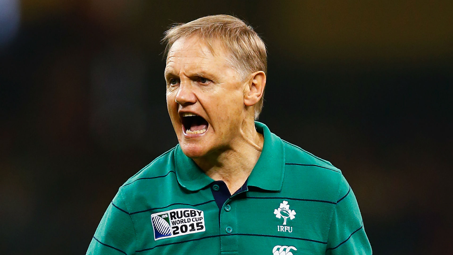 Tim Schmidt Rugby Schmidt expecting more Ireland 'resilience and resolve' | beIN SPORTS