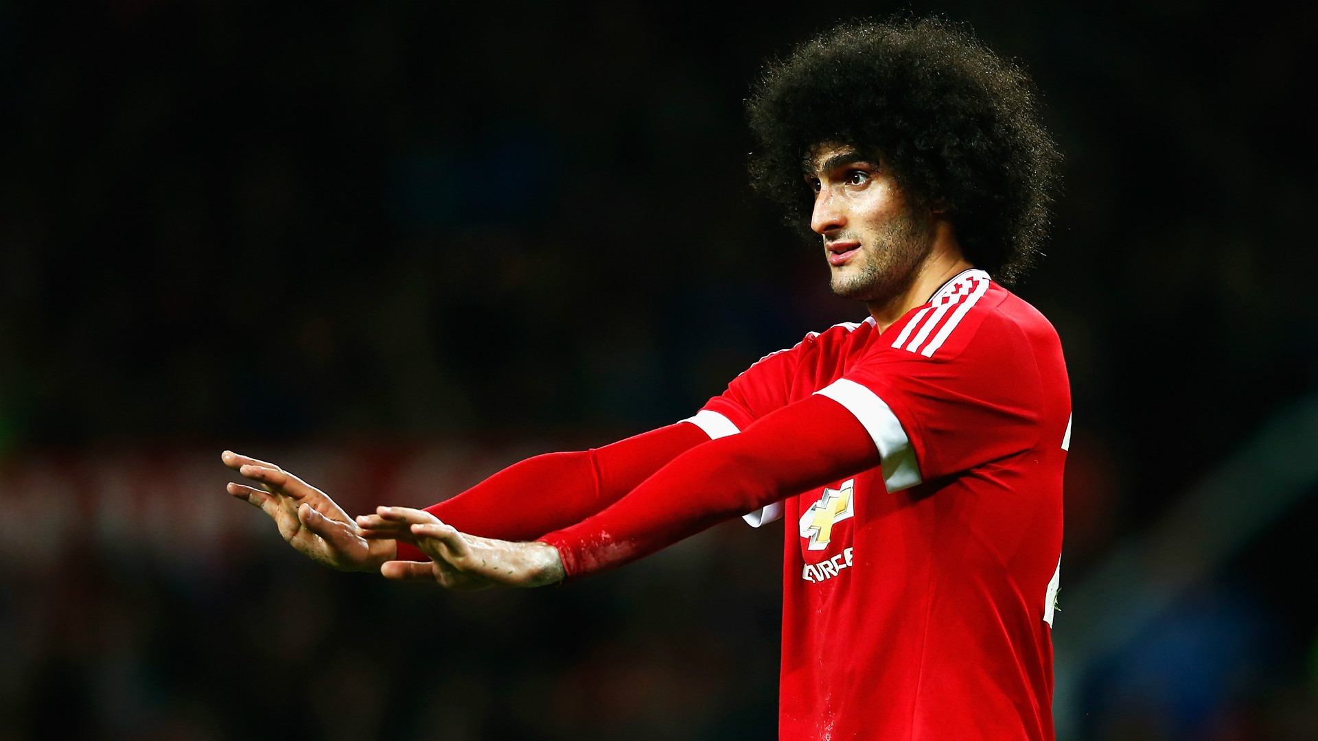 Marouane Fellaini Manchester United F.C. Belgium national football