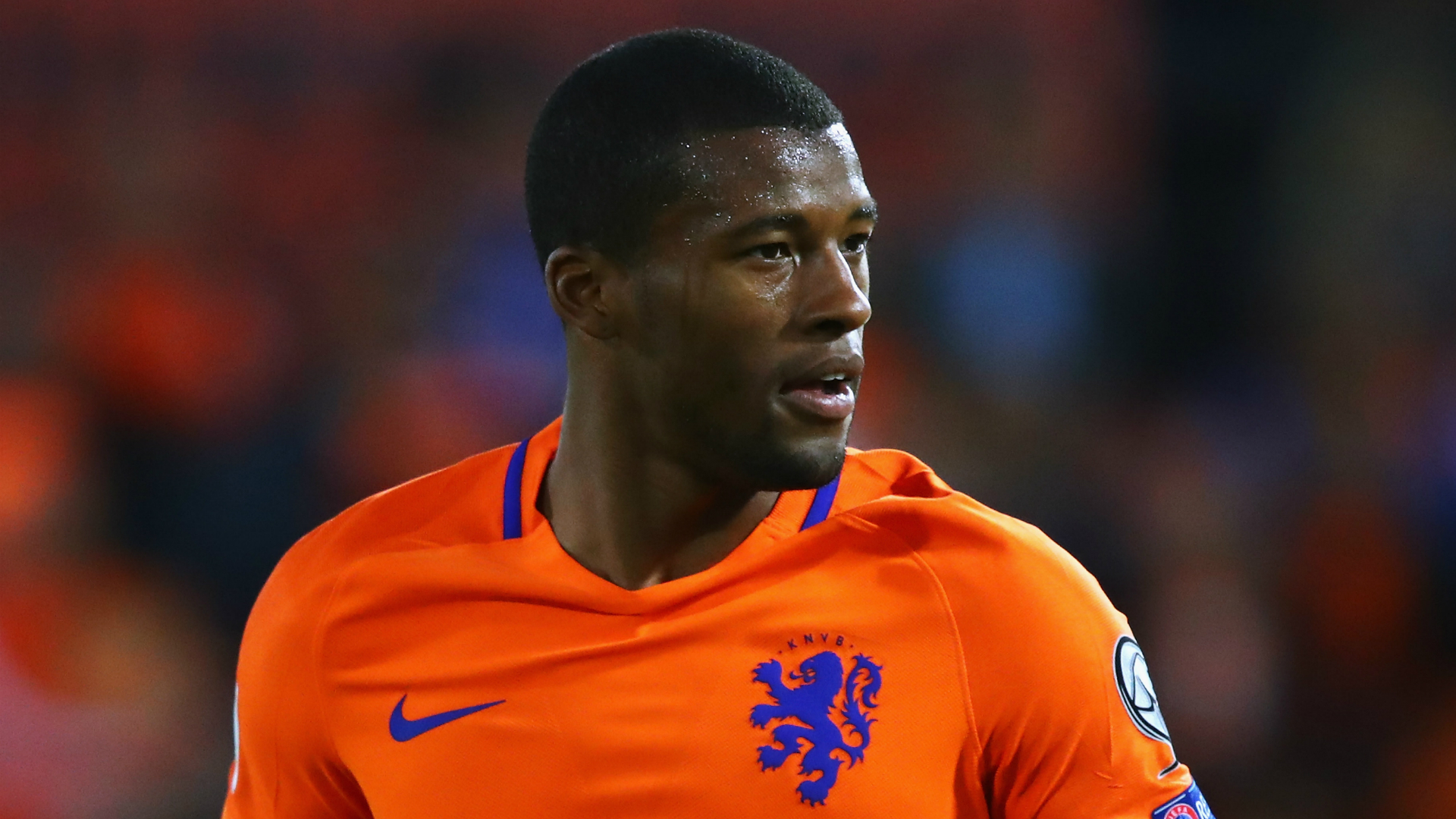 Wijnaldum cheap netherlands jersey