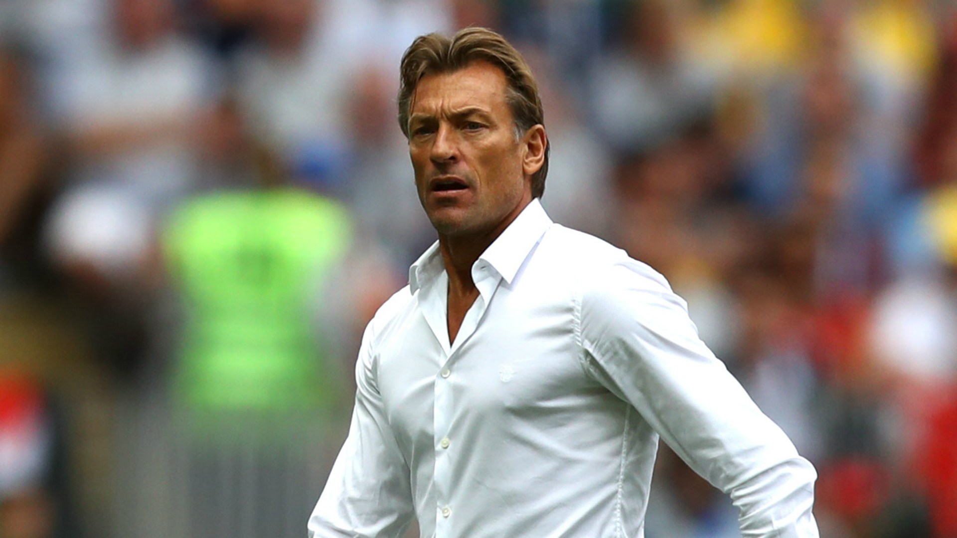 Saudi Arabia Name Herve Renard Coach
