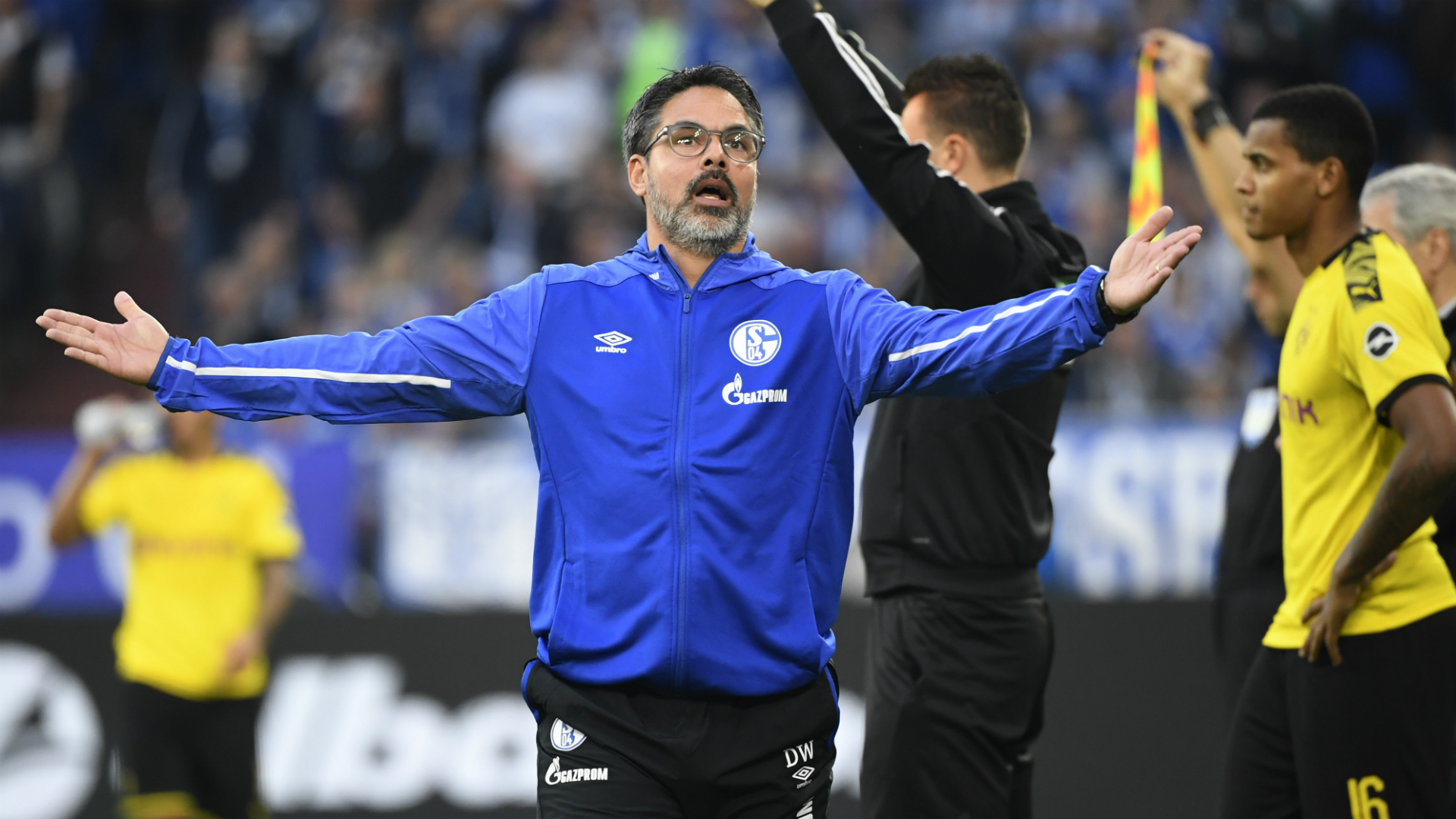 Schalke 04 Sack David Wagner After Just Two Bundesliga Matches