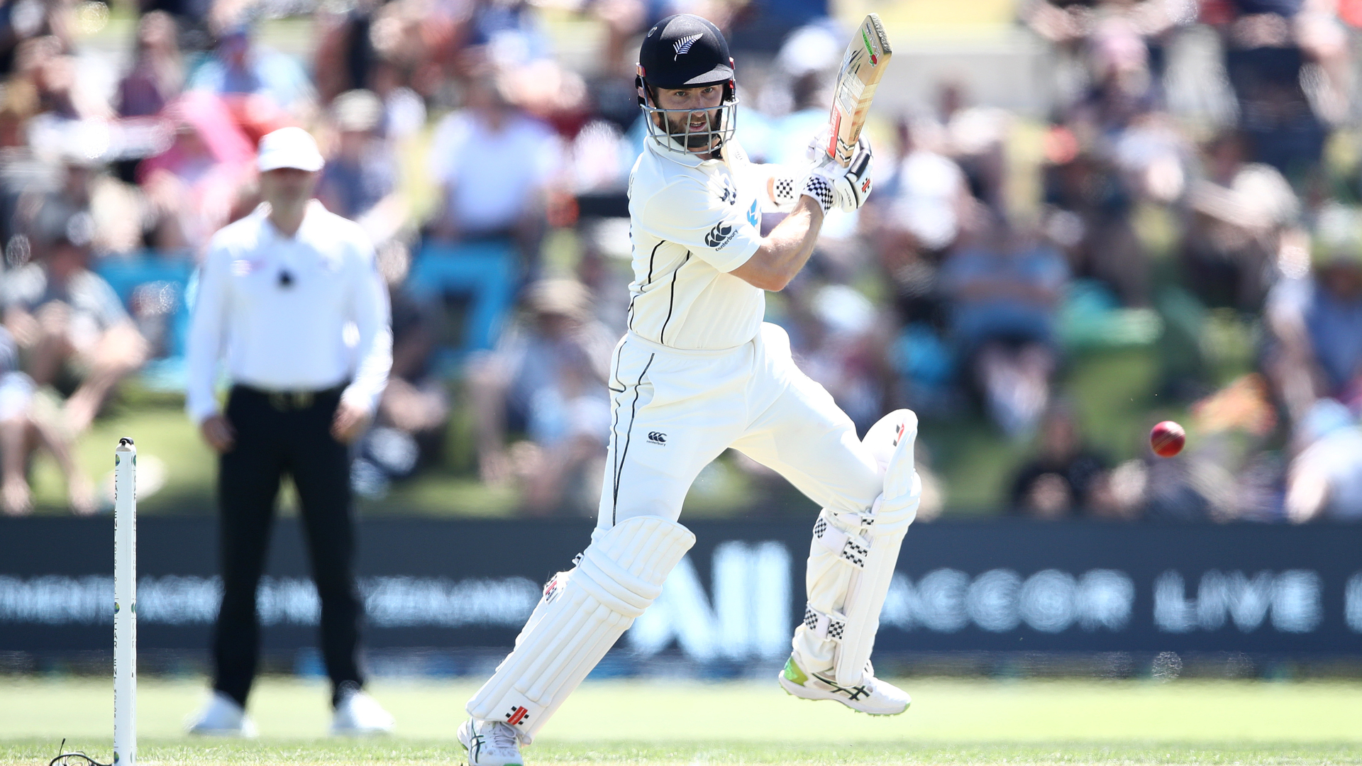Williamson leads New Zealand into strong position against Pakistan