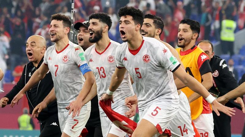 Tunisia 1 Egypt 0 - Highlights