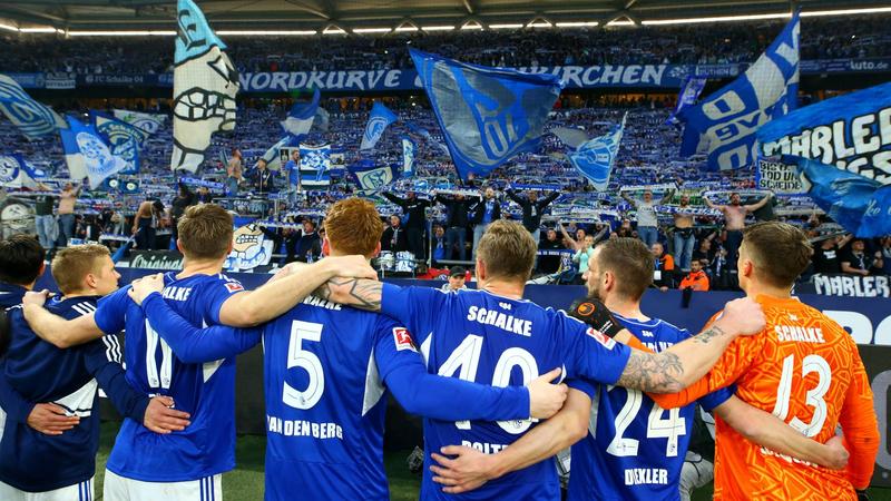 El Schalke mantiene vivo su sueño de permanencia