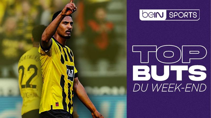 Top But : La puissance de Lukaku ou la finesse d'Haller ?