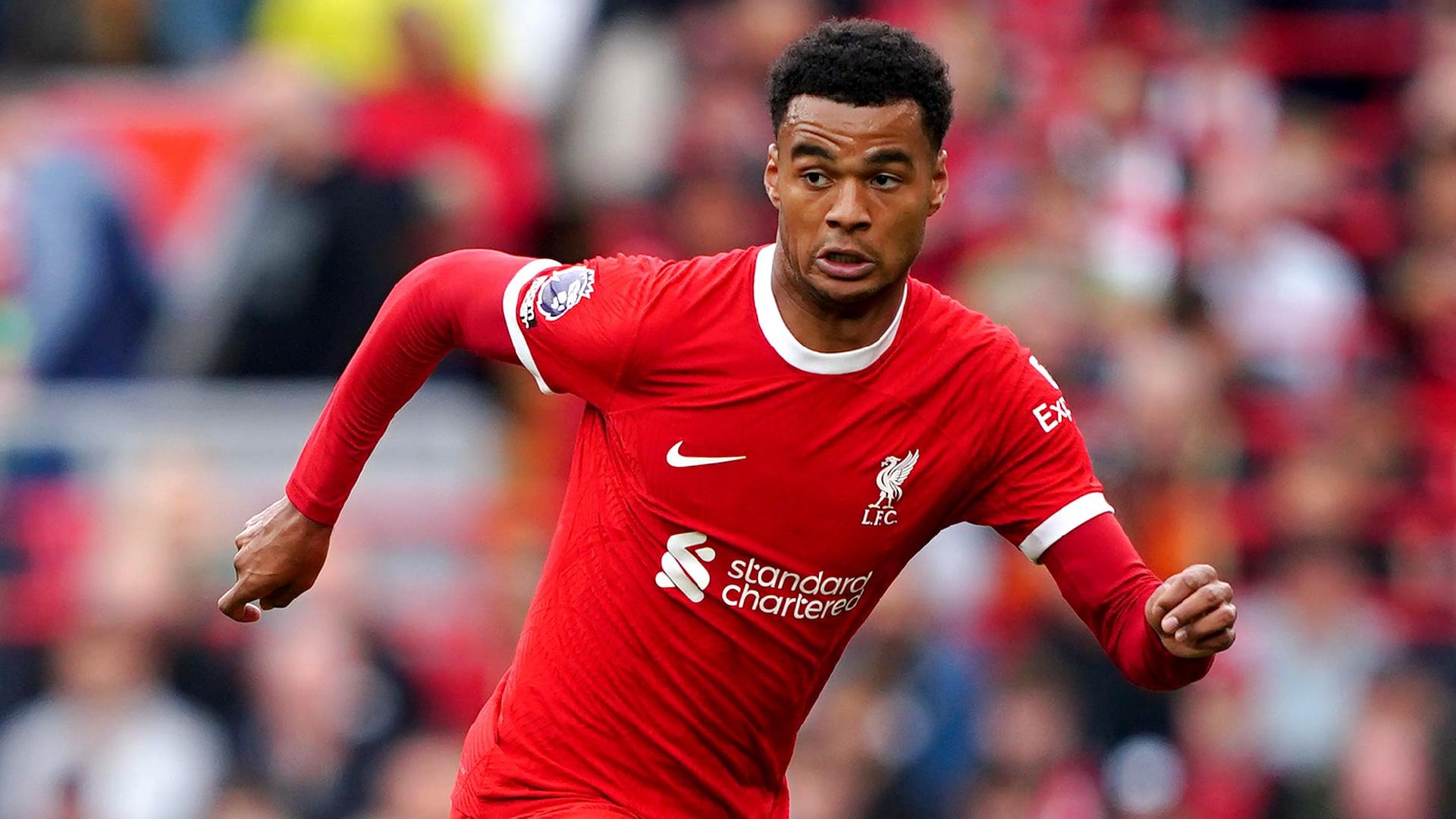 Cody Gakpo in line for return to Liverpool line-up against Toulouse