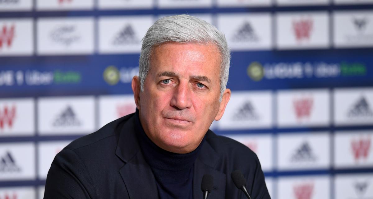 Algérie : Vladimir Petkovic affirme ses ambitions | beIN SPORTS