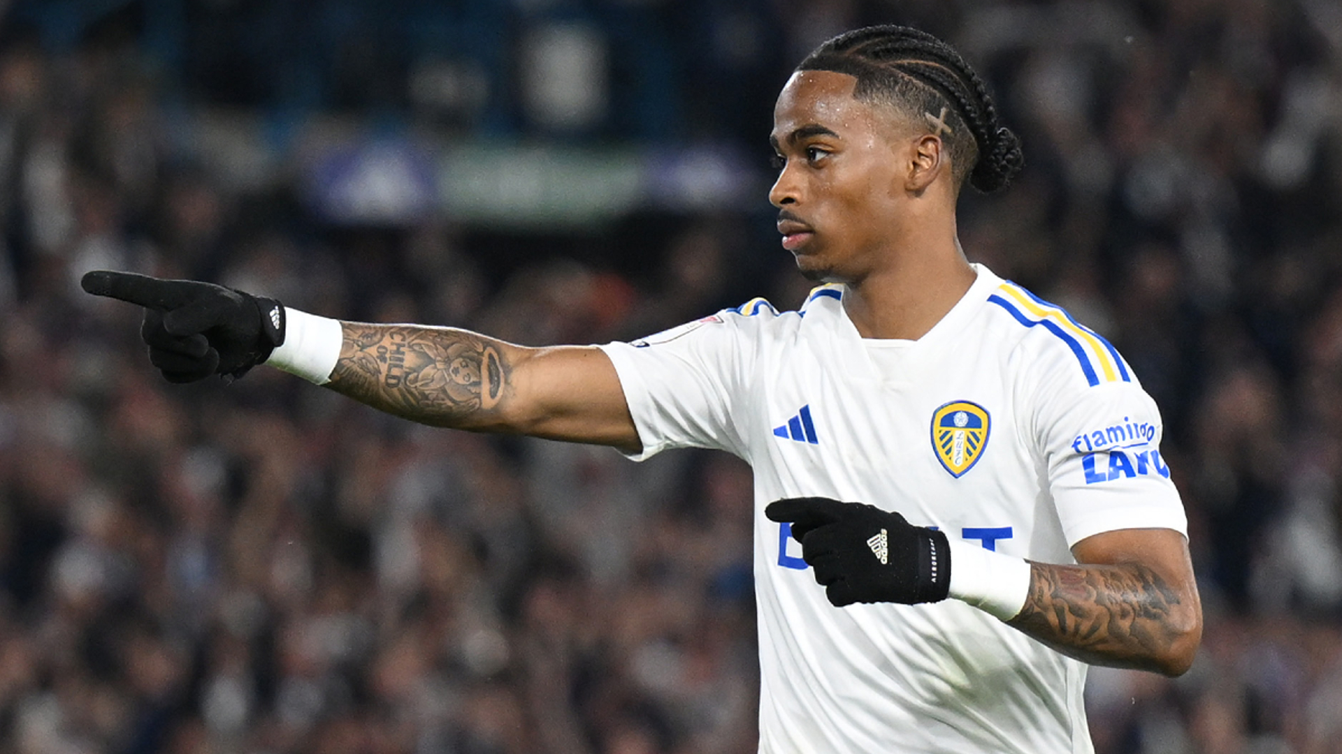 Report: Leeds 4-0 Norwich (4-0 agg)
