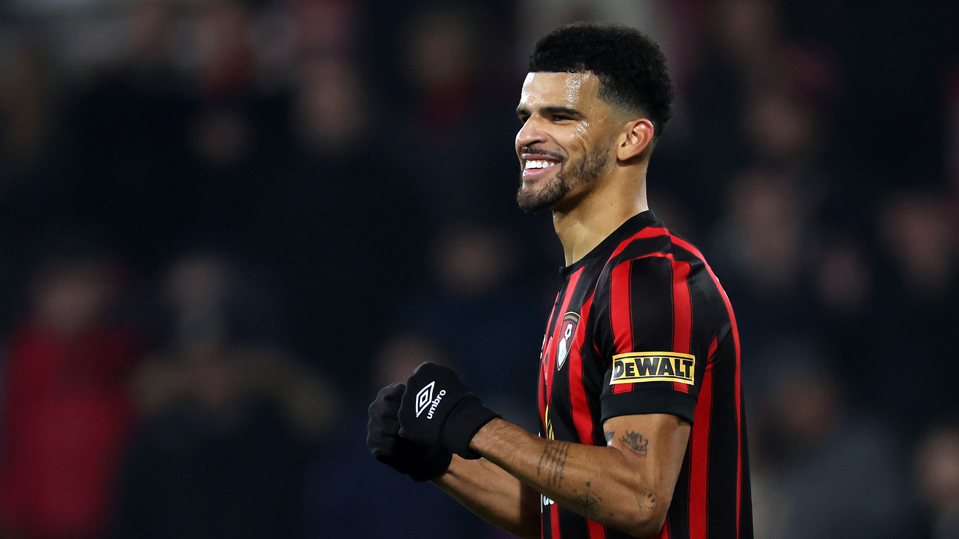 Dominic Solanke in action for Bournemouth.