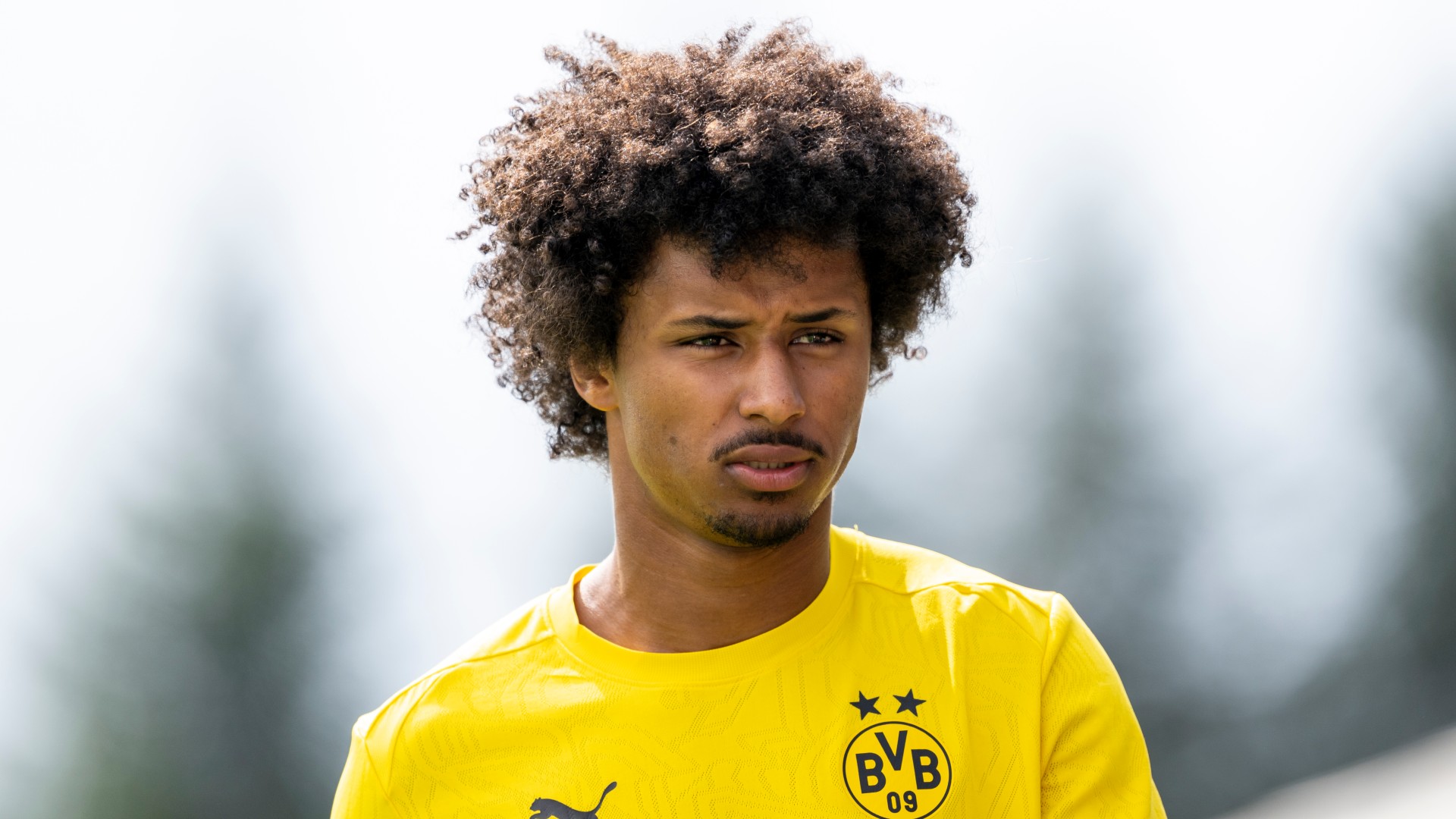 Adeyemi happy at Dortmund