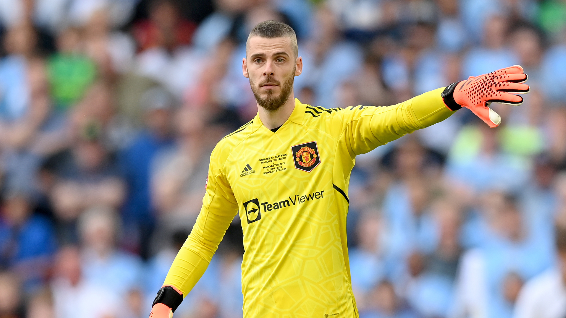 De Gea completes Fiorentina switch