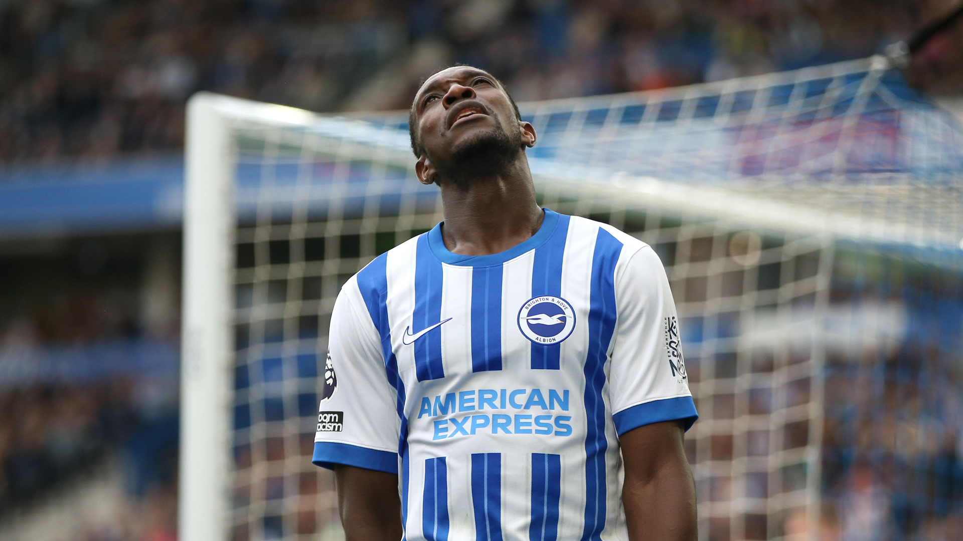 Welbeck: Brighton will learn