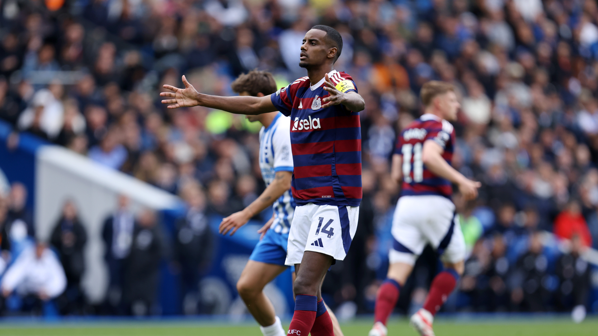 Report: Brighton 1-1 Newcastle
