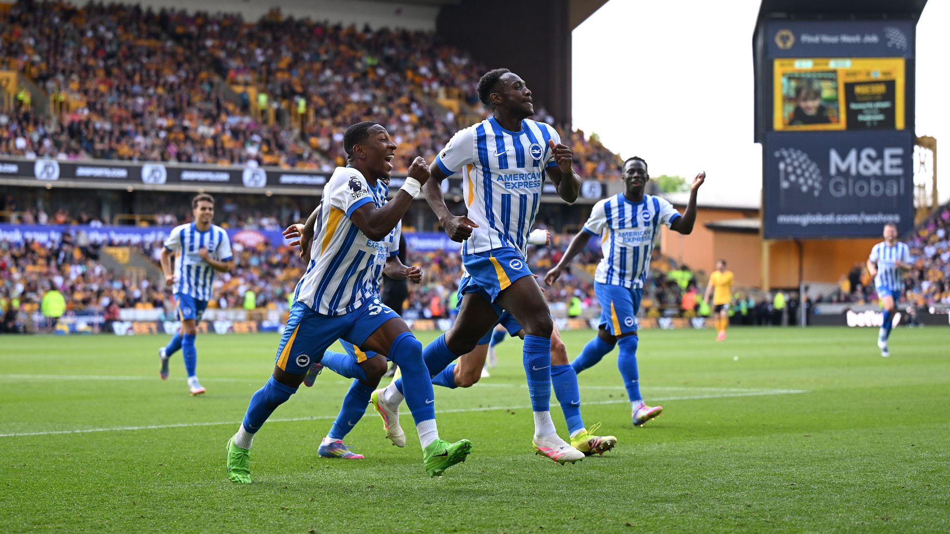 Report: Wolves 0-2 Brighton