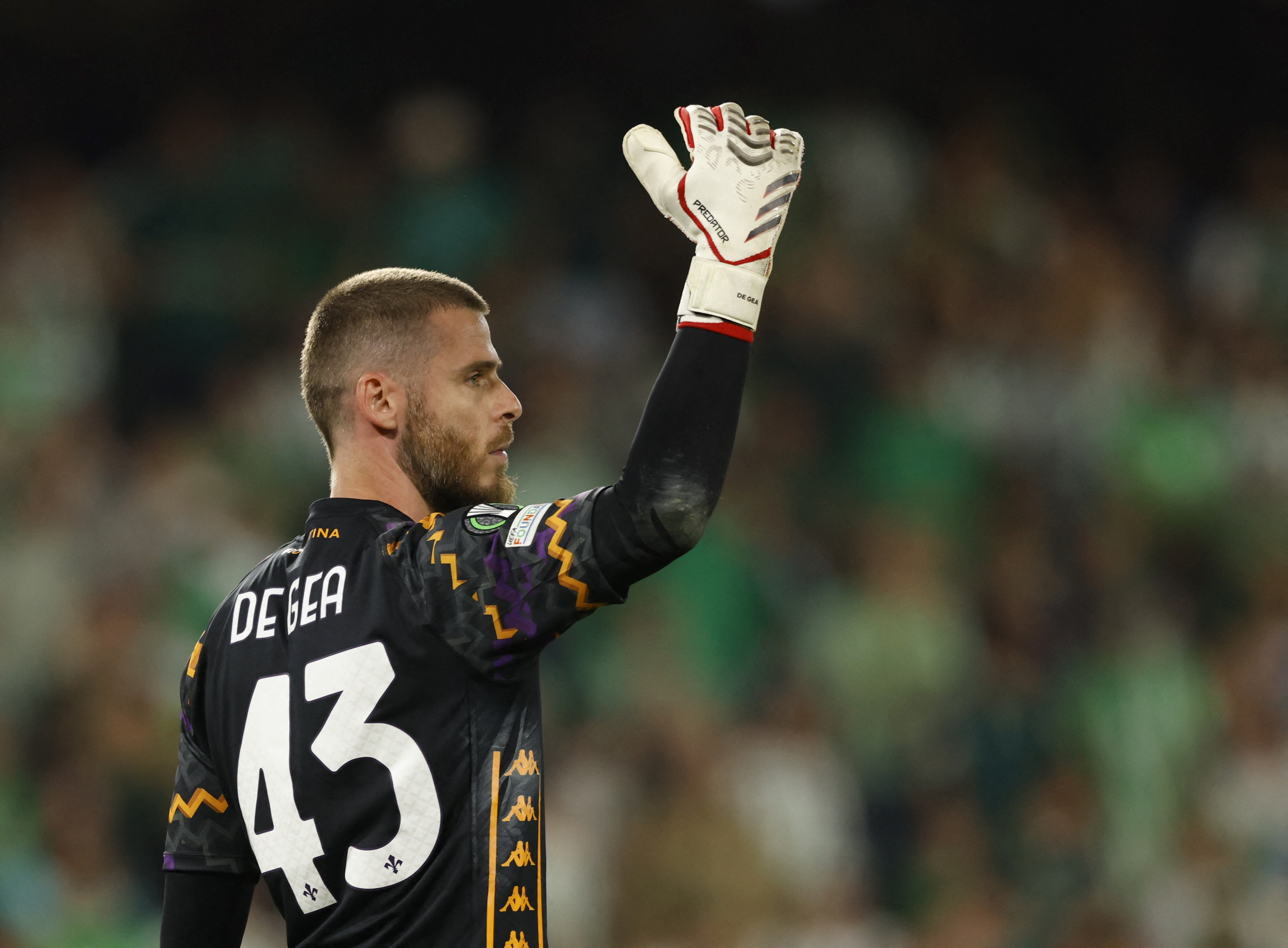 David De Gea