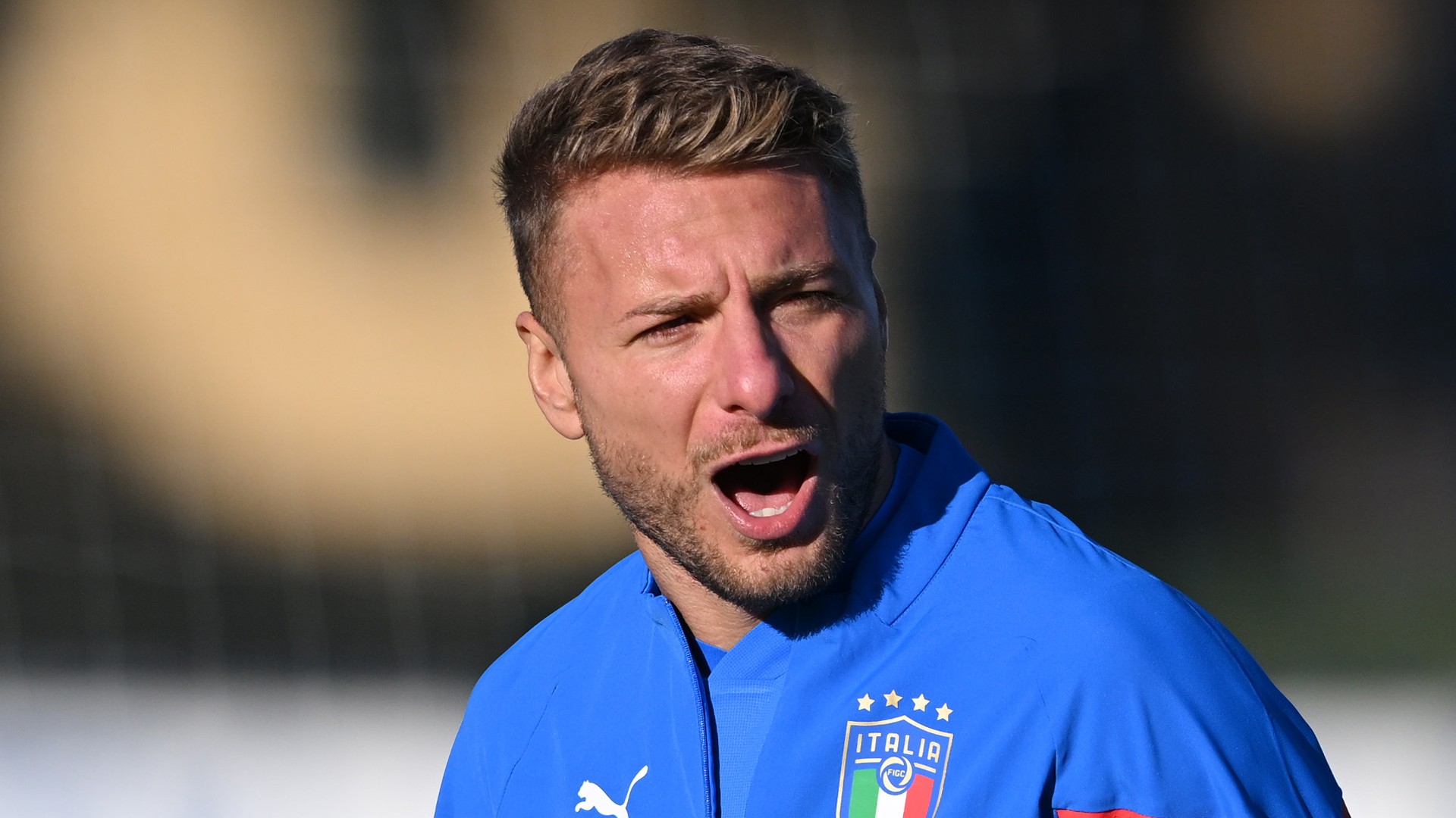 Bologna seal Immobile deal