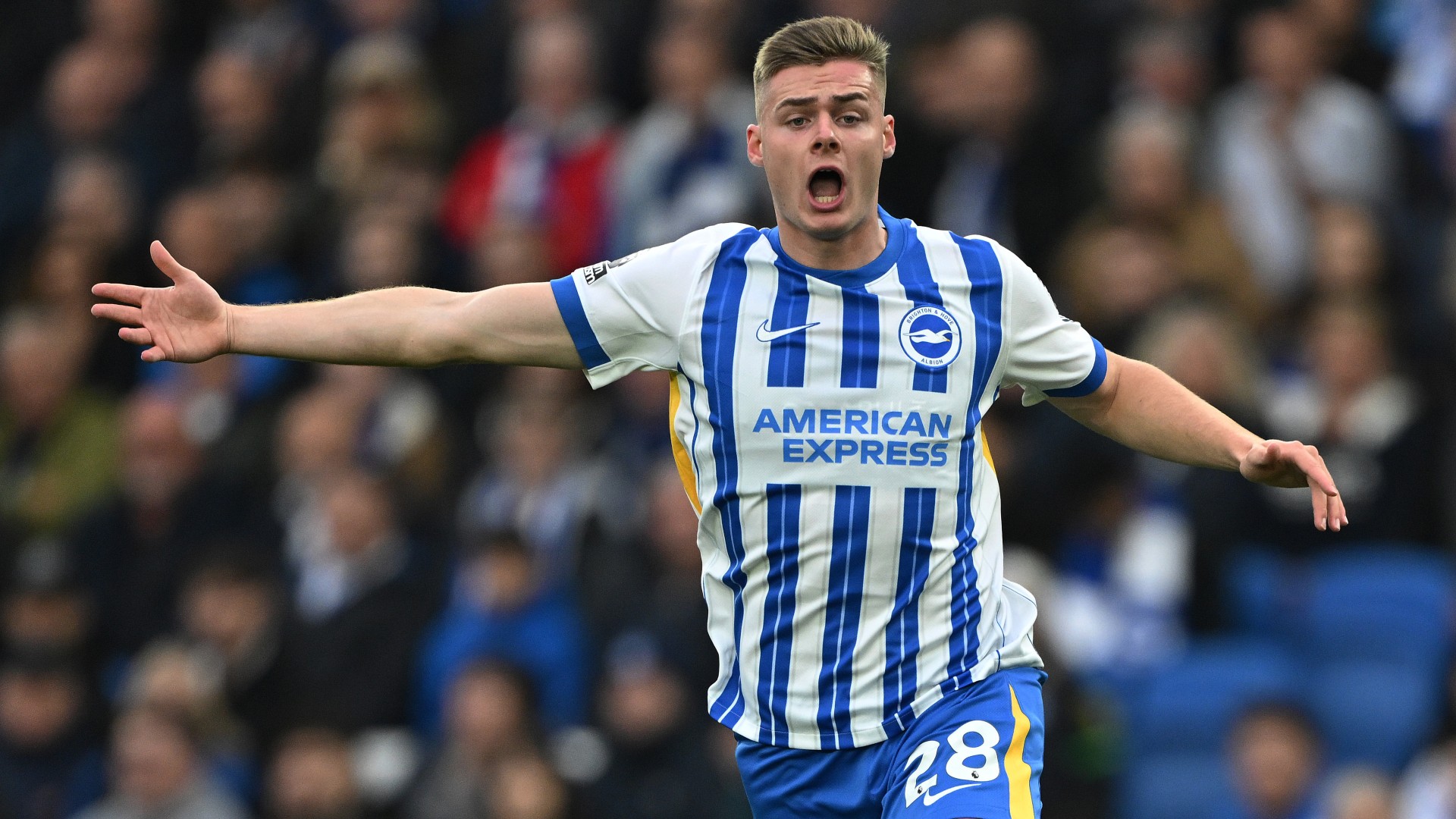 Ferguson still in Brighton plans
