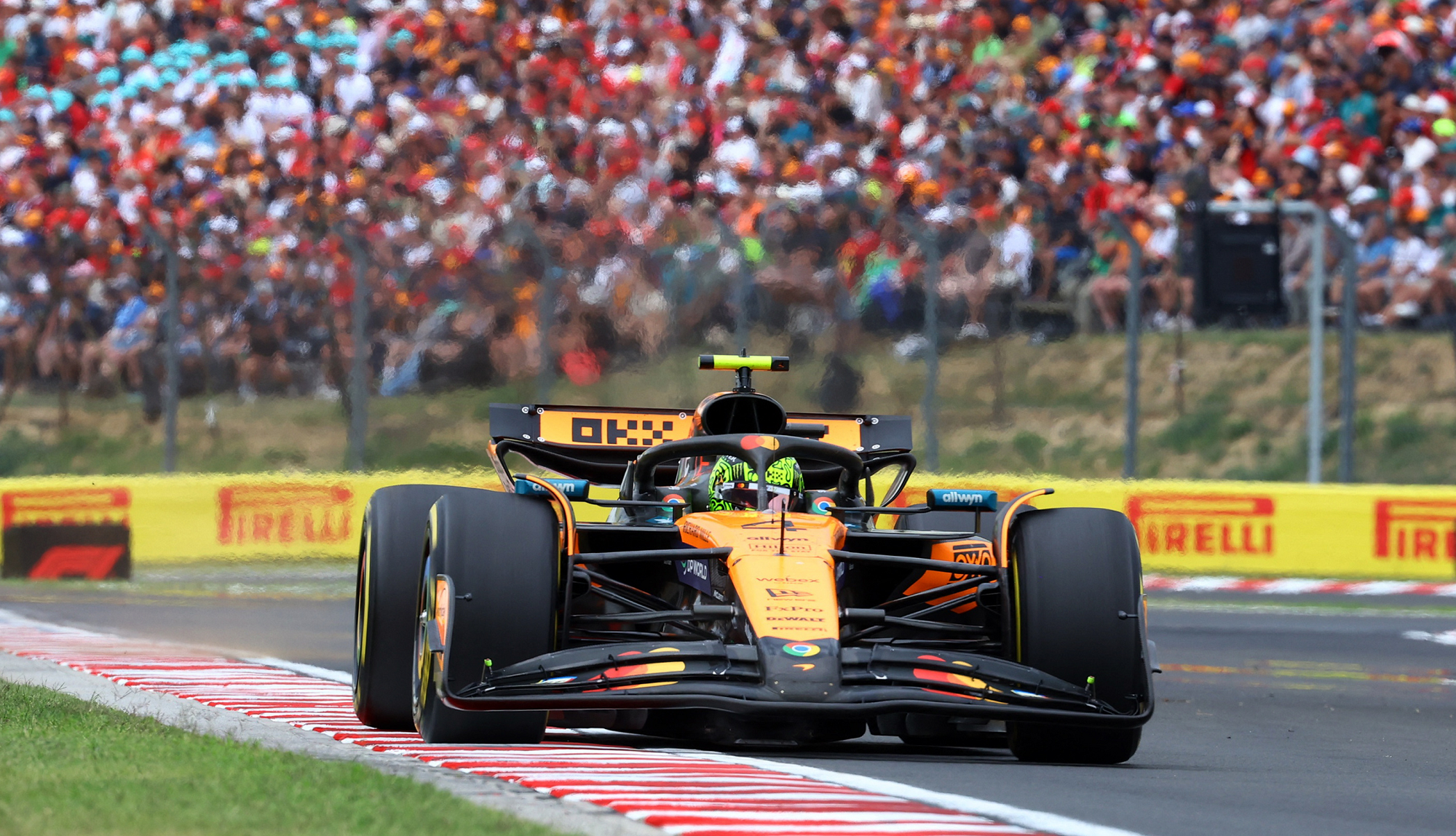 Lando Norris