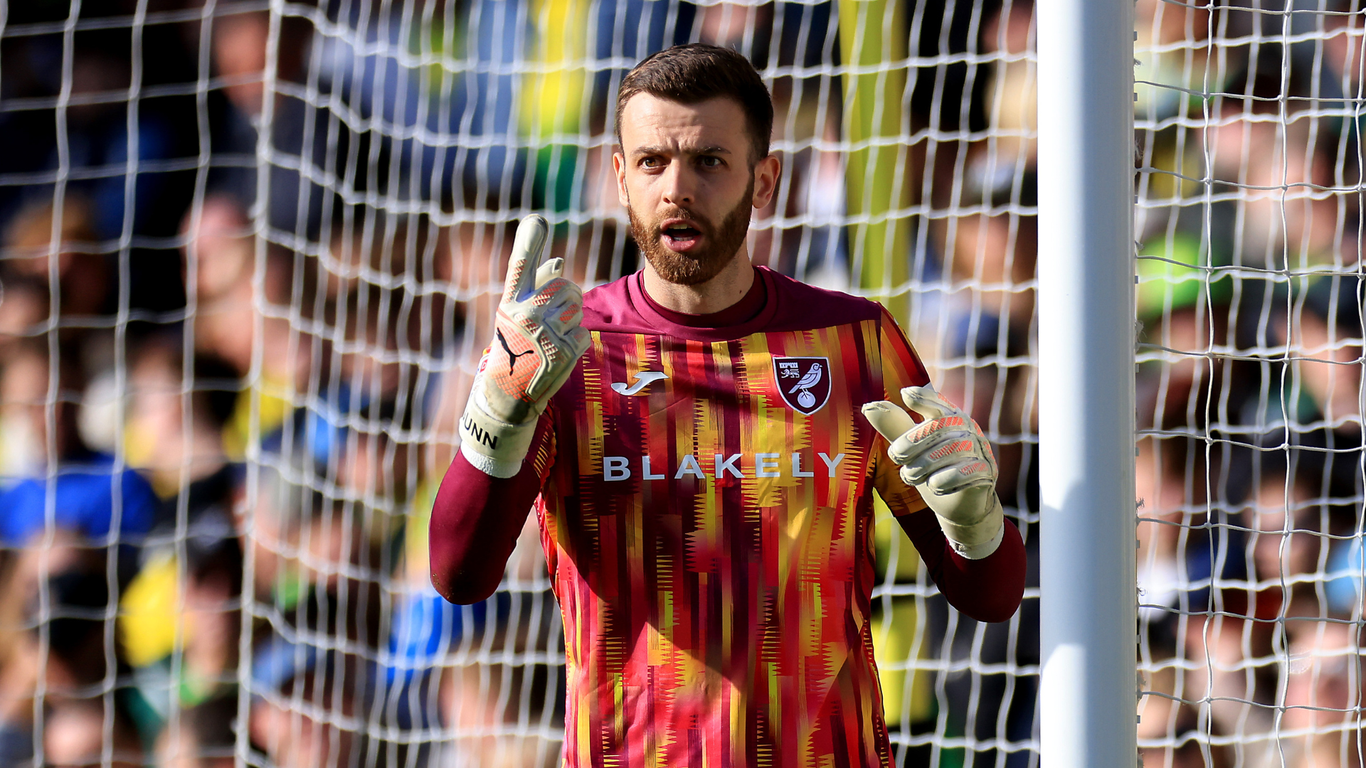 Forest sign Gunn on free transfer