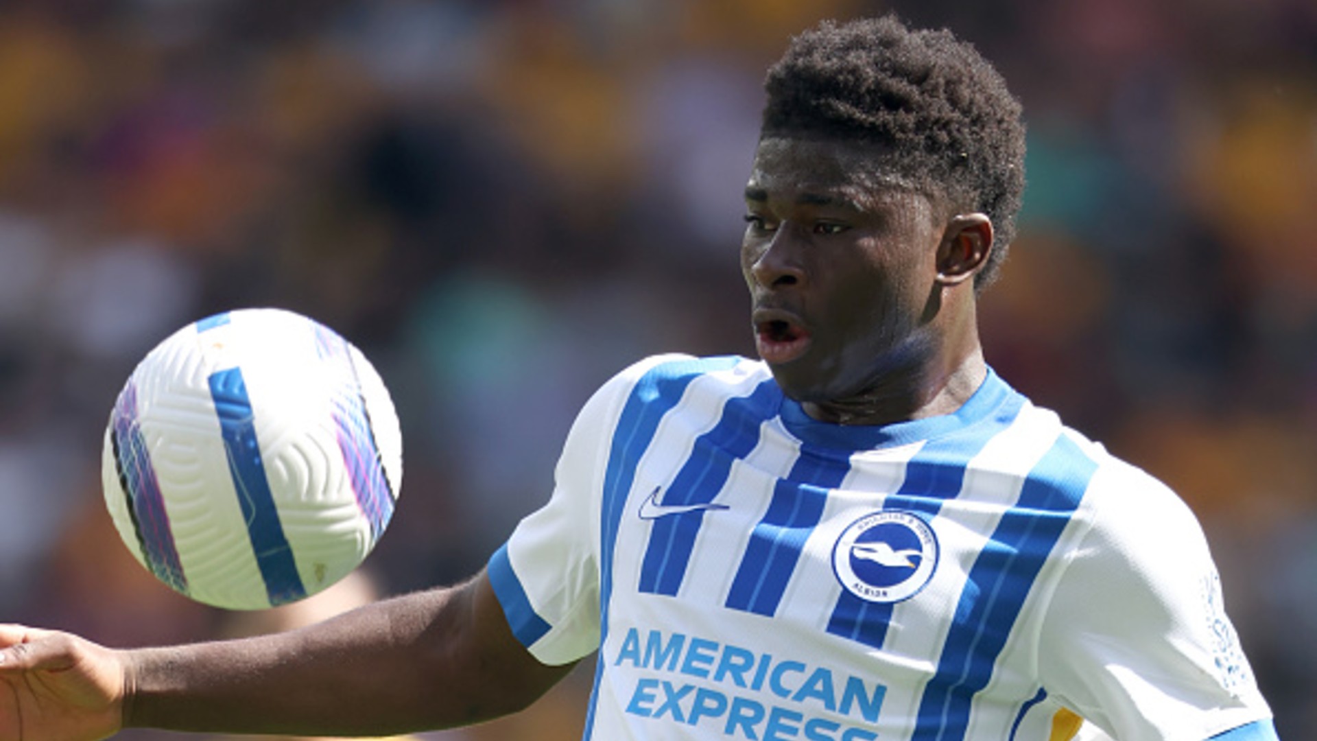 Hurzeler unfazed by Brighton exits