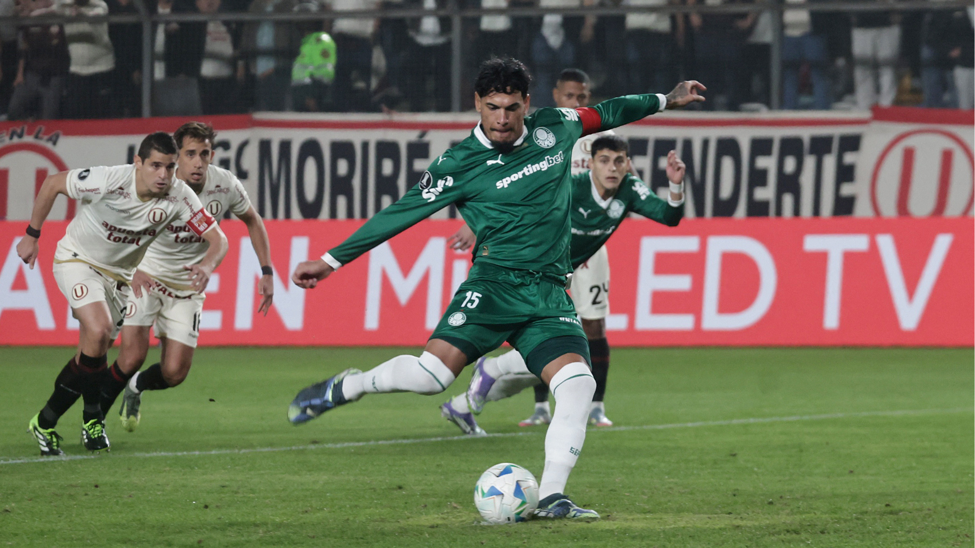 Palmeiras
