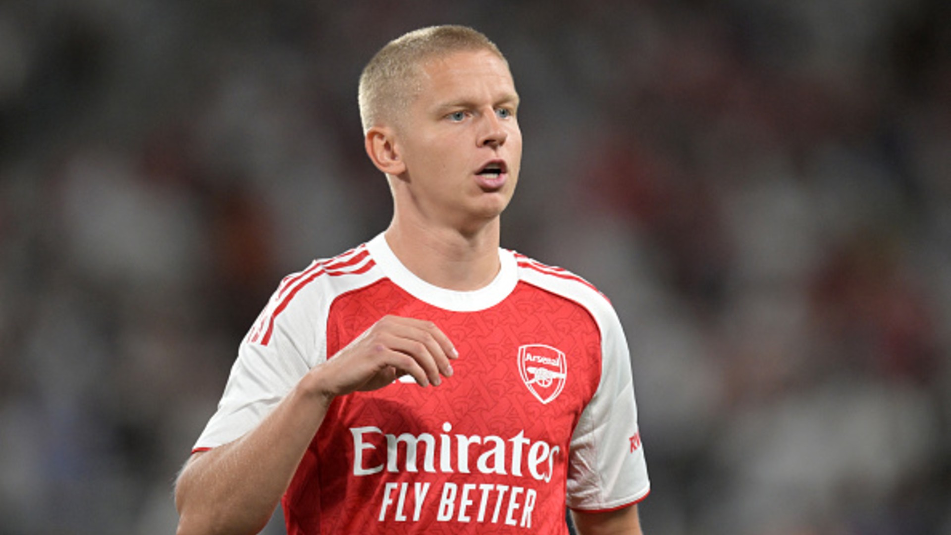 Forest sign Zinchenko 