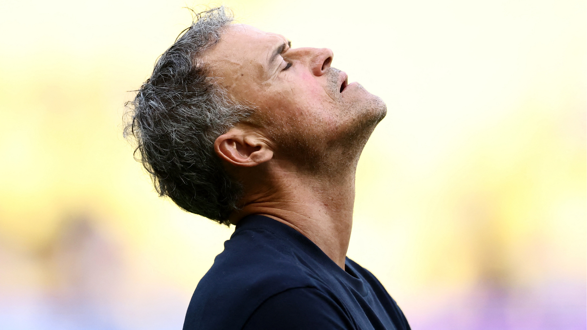 Luis enrique