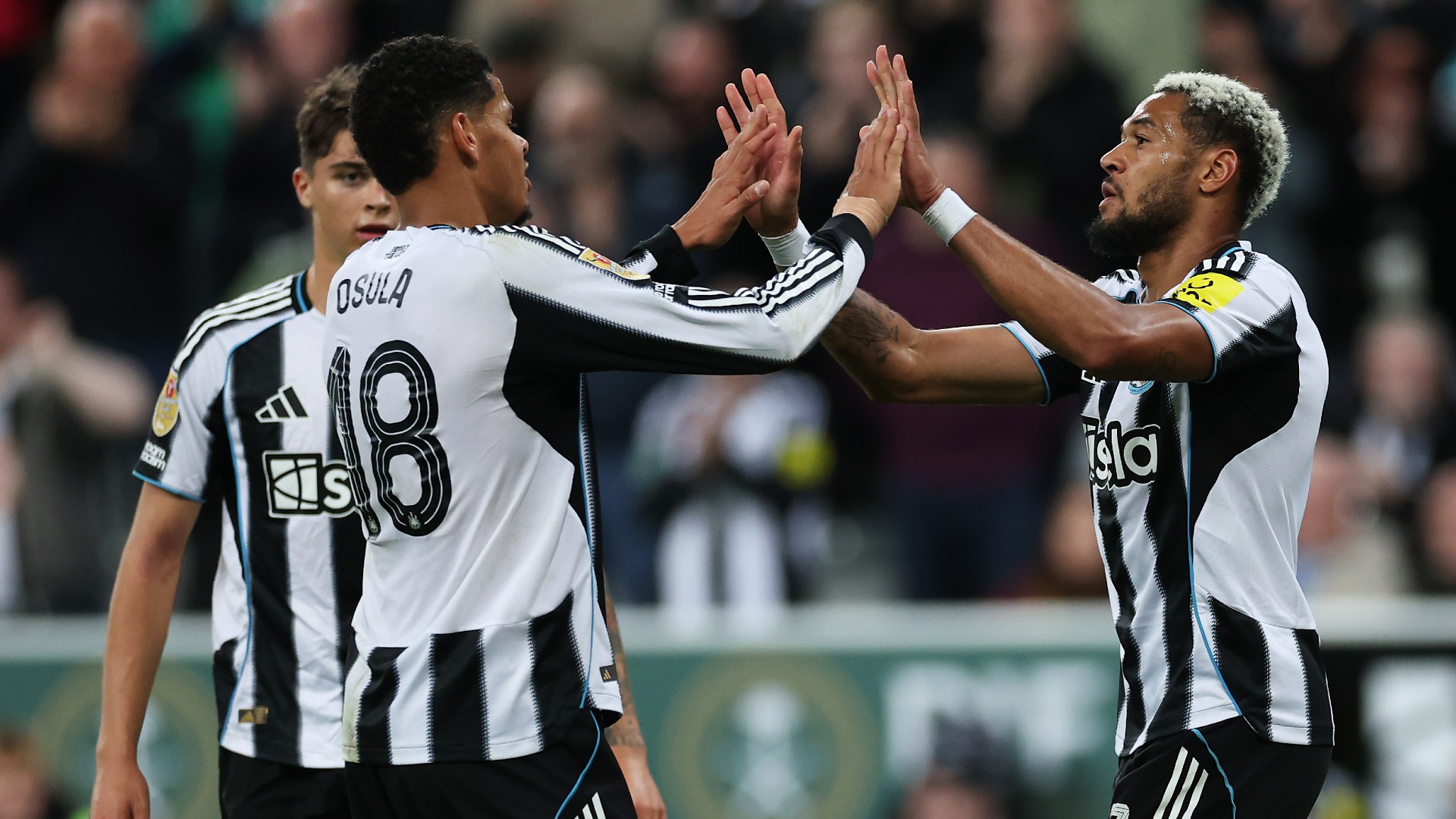 Report: Newcastle 4-1 Bradford