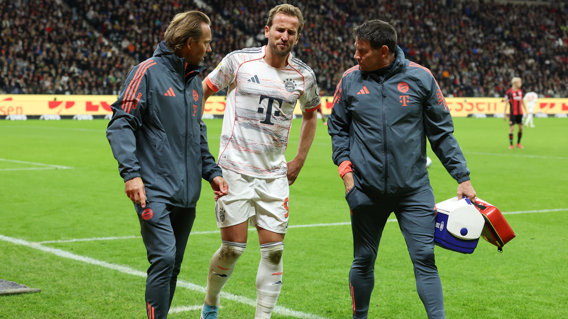 Kane fit for England duty
