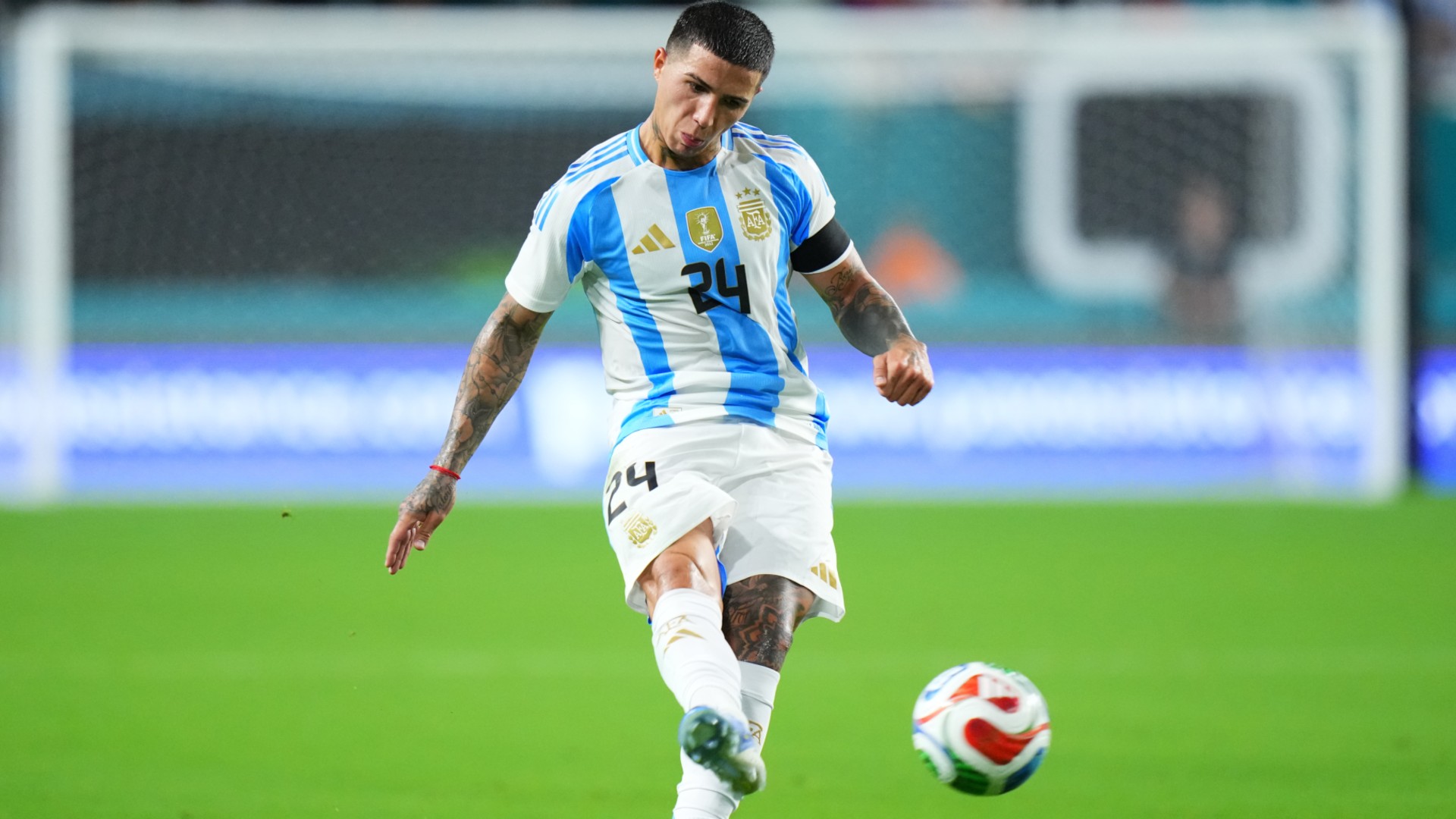 Fernandez withdraws from Argentina