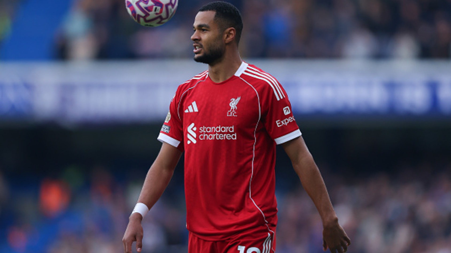 Gakpo: New signings still adapting