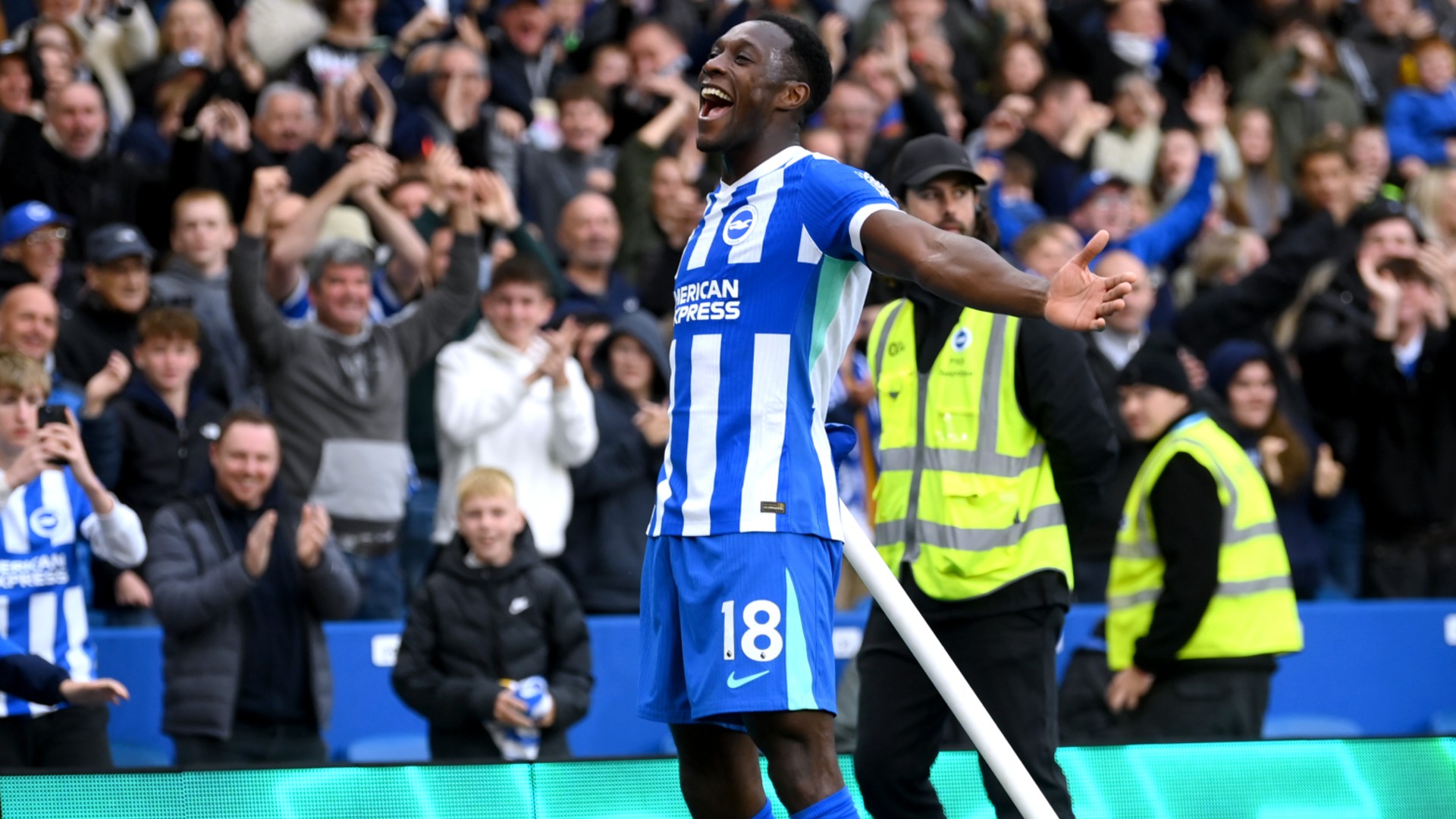 Report: Brighton 2-1 Newcastle