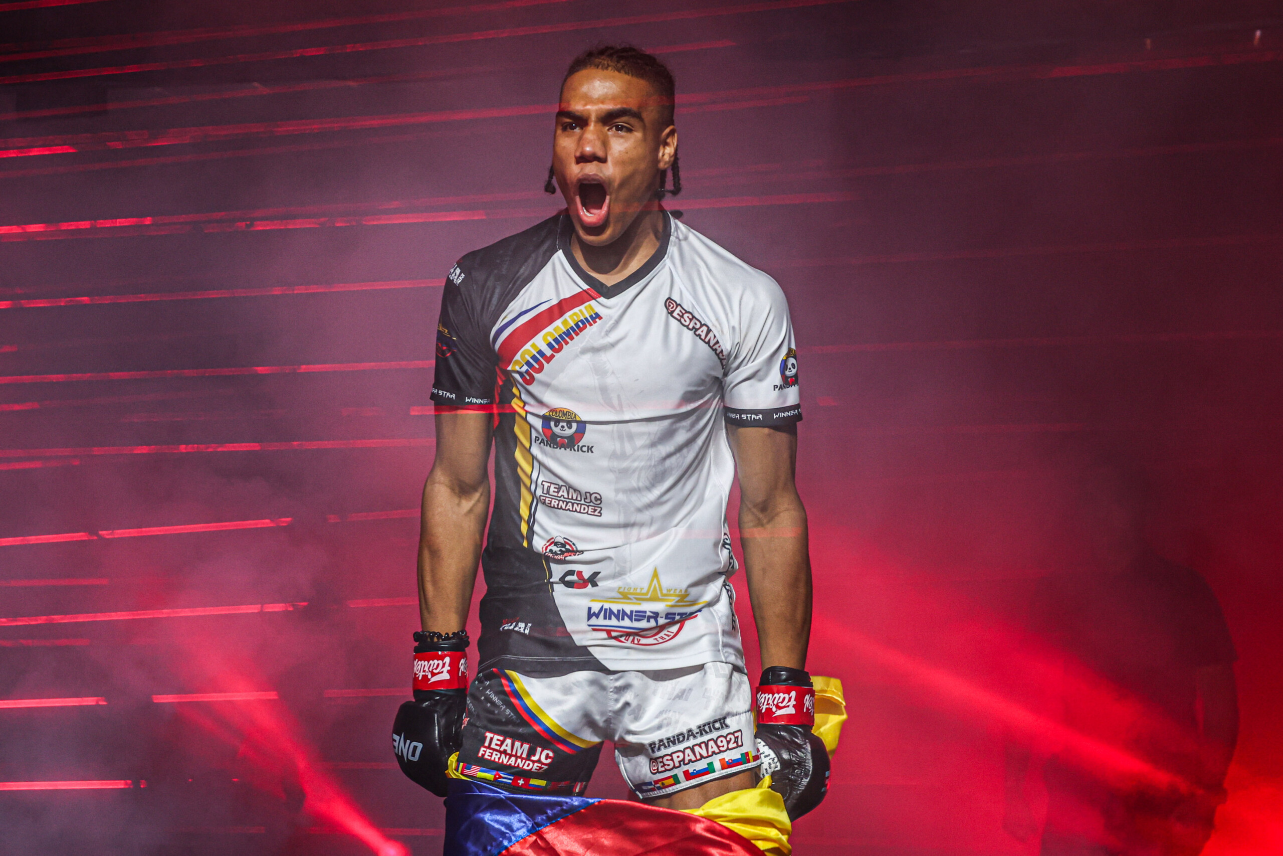 جوهان إستوبينان