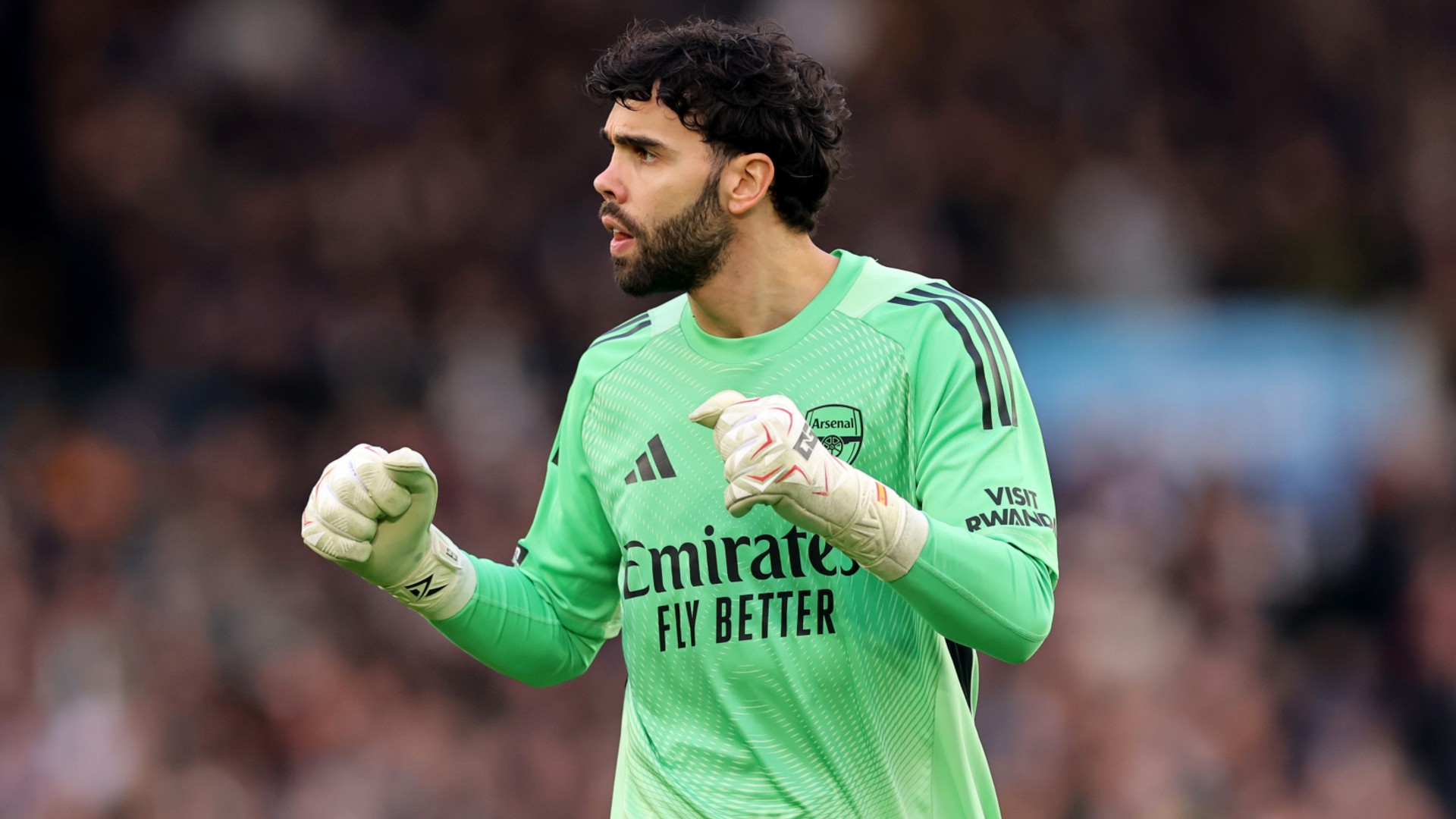 Arteta hials Raya impact