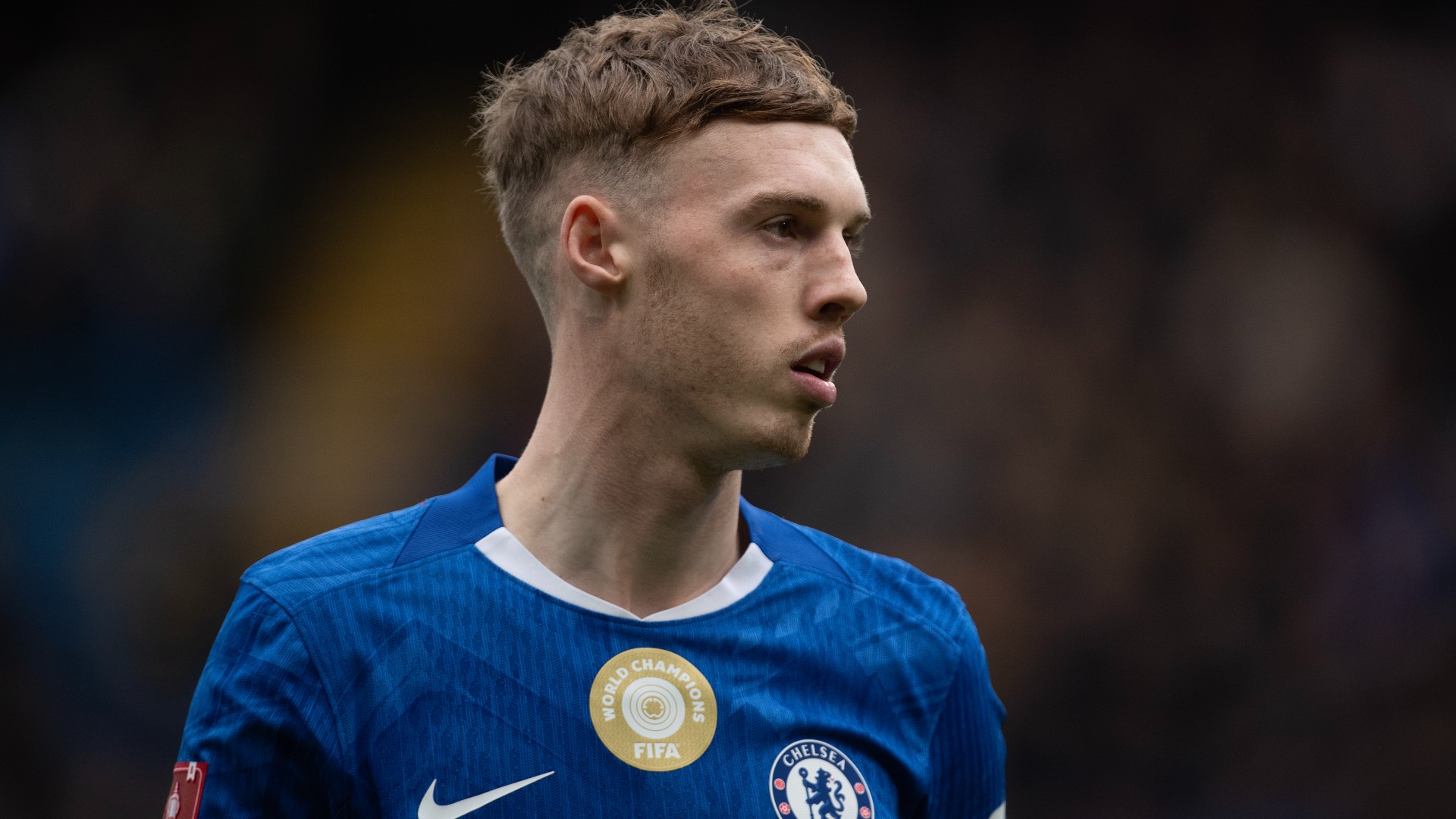 Palmer: No plans to leave Chelsea