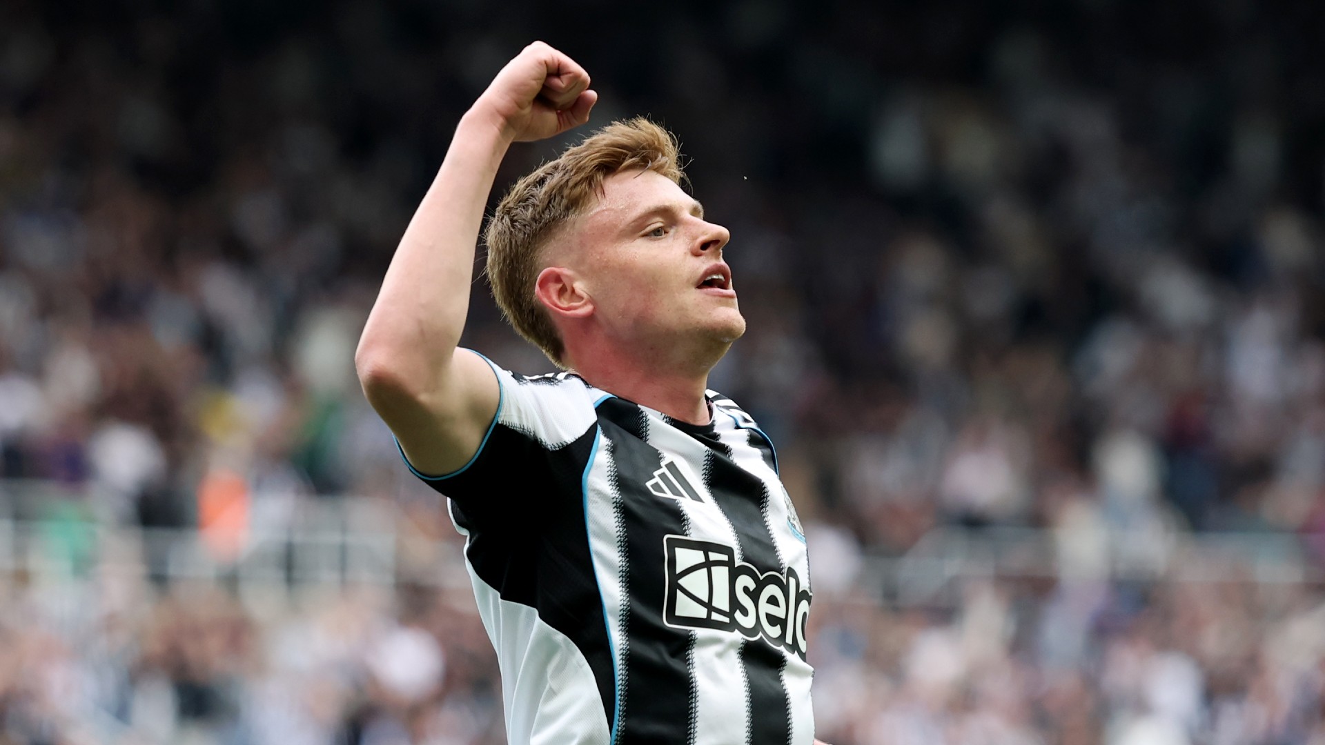 Report: Newcastle 3-1 Brighton