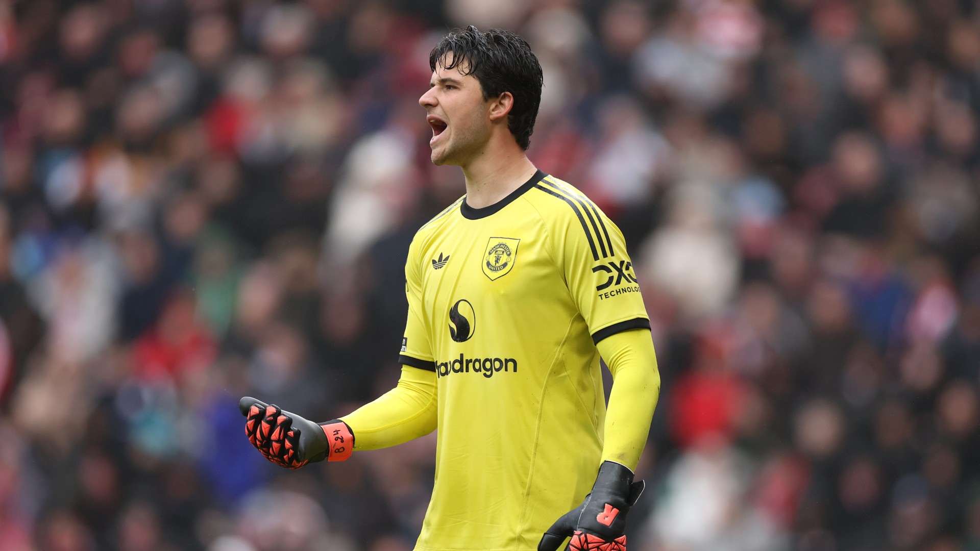 Rio Ferdinand backs Senne Lammens to remain in post at Manchester United for the next decade
