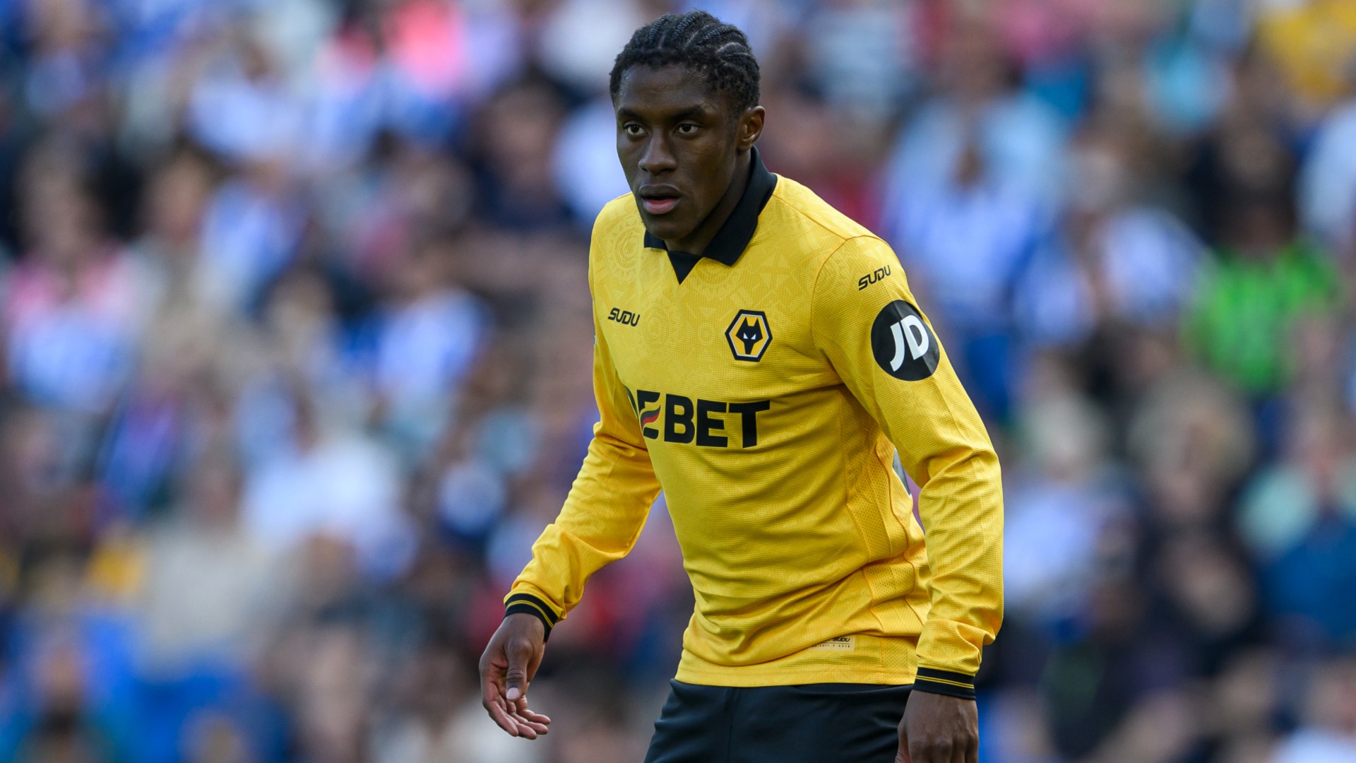 Preview: Wolves v Fulham