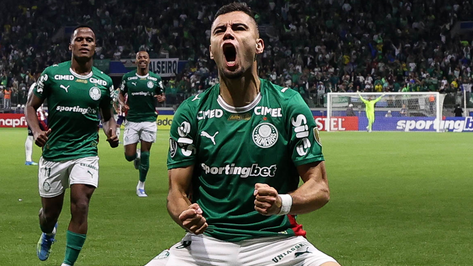 Palmeiras
