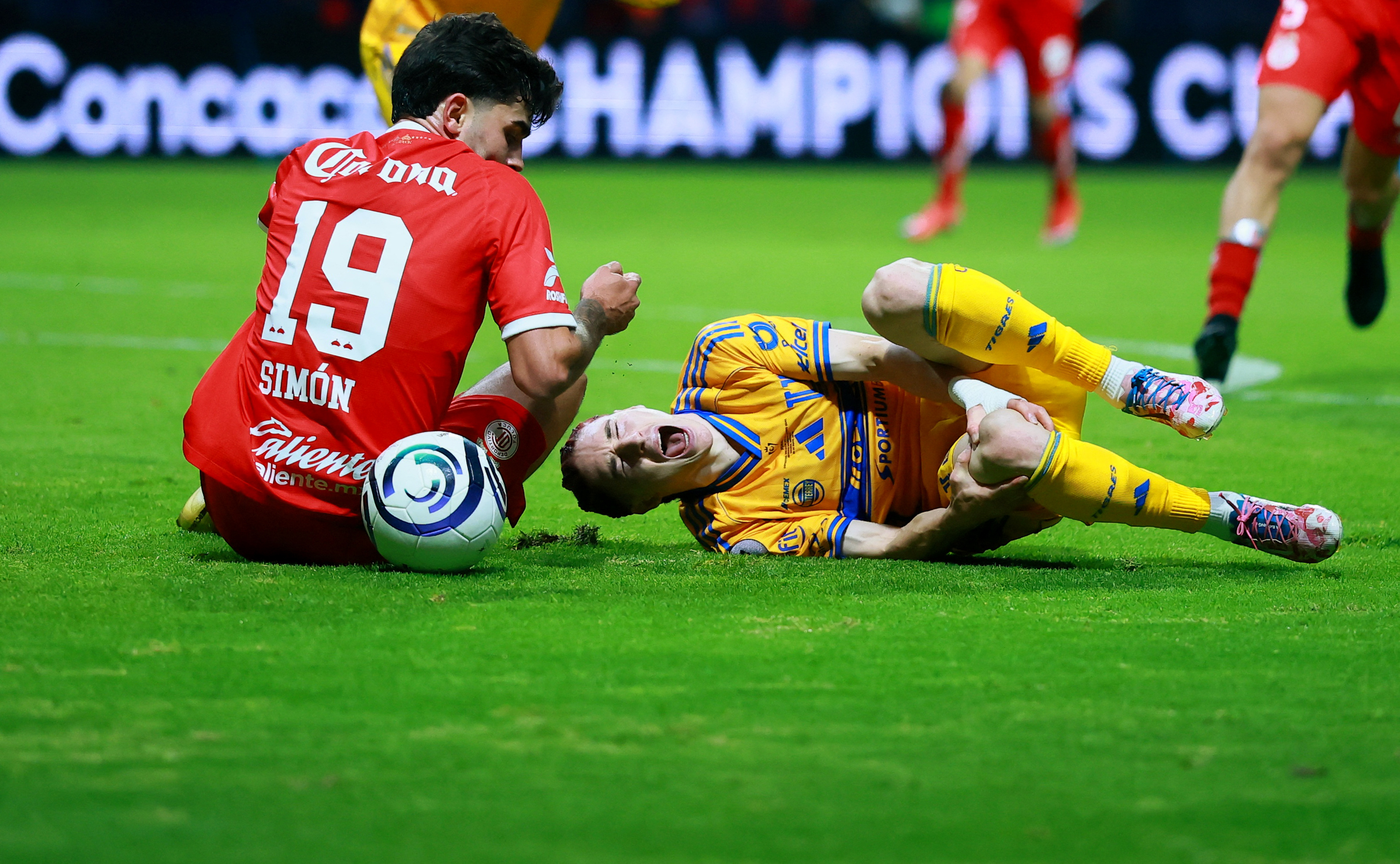 Marcelo Flores